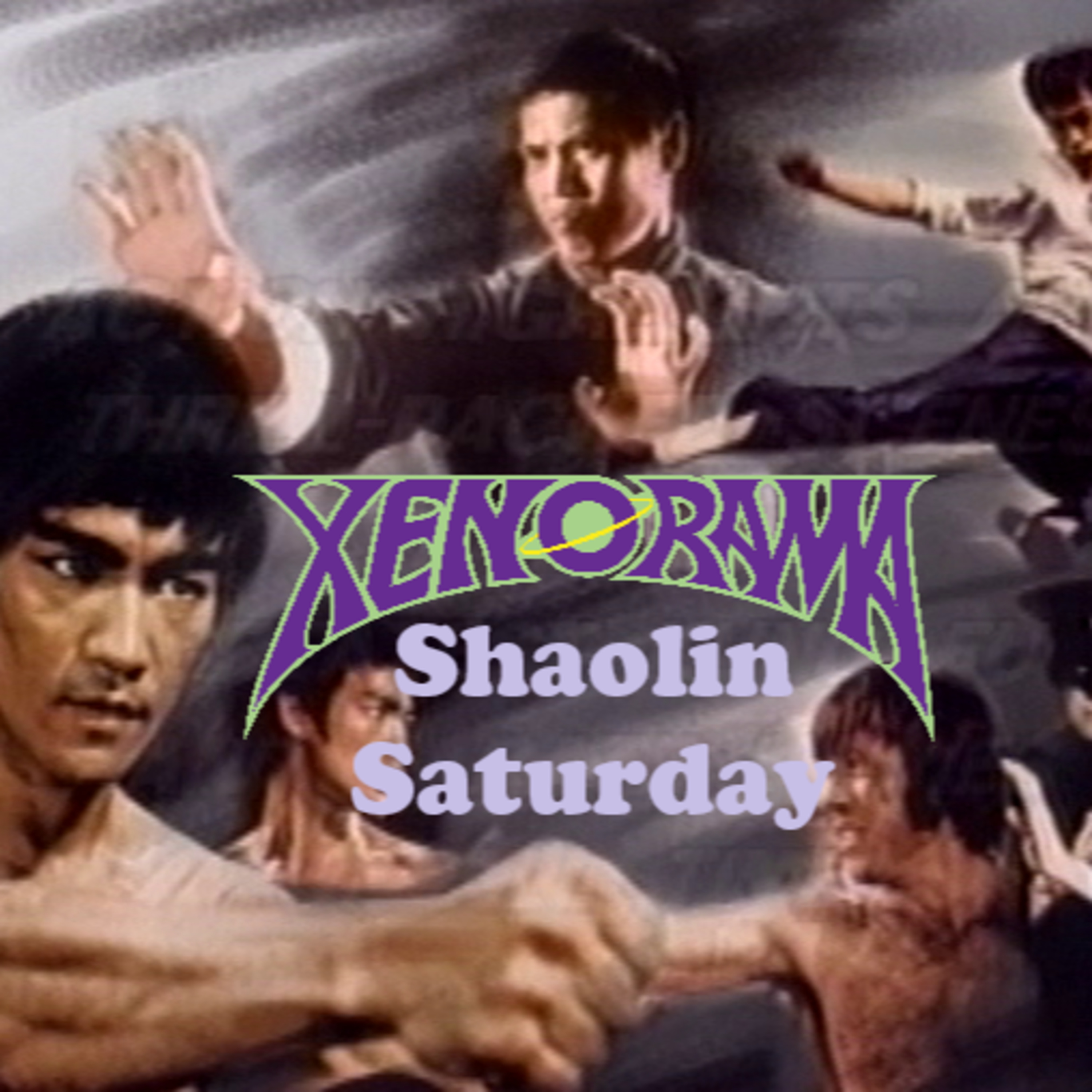 391. Shaolin Saturday: Ninja in the Dragon's Den (1982) review! episode artwork