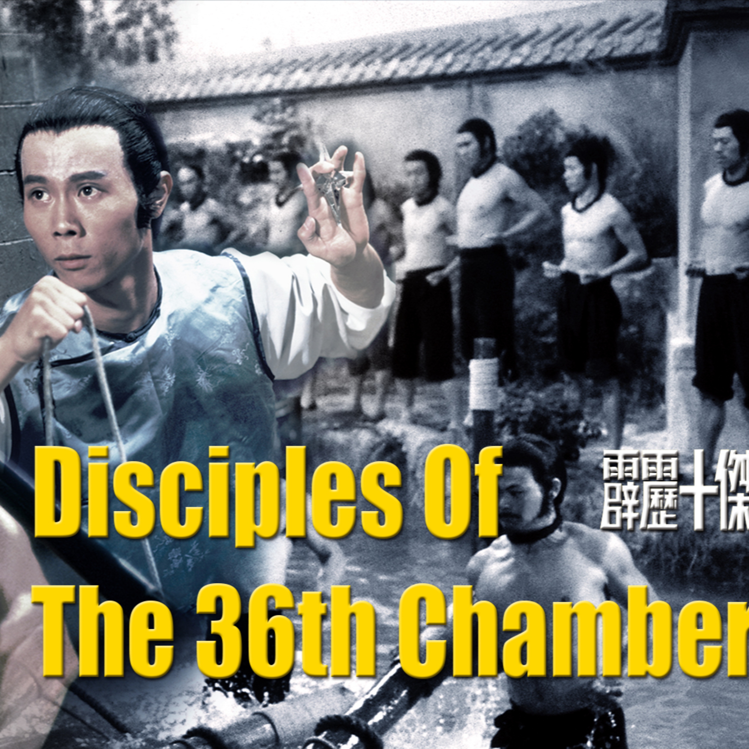 644. Disciples of the 36th Chamber is ...meh