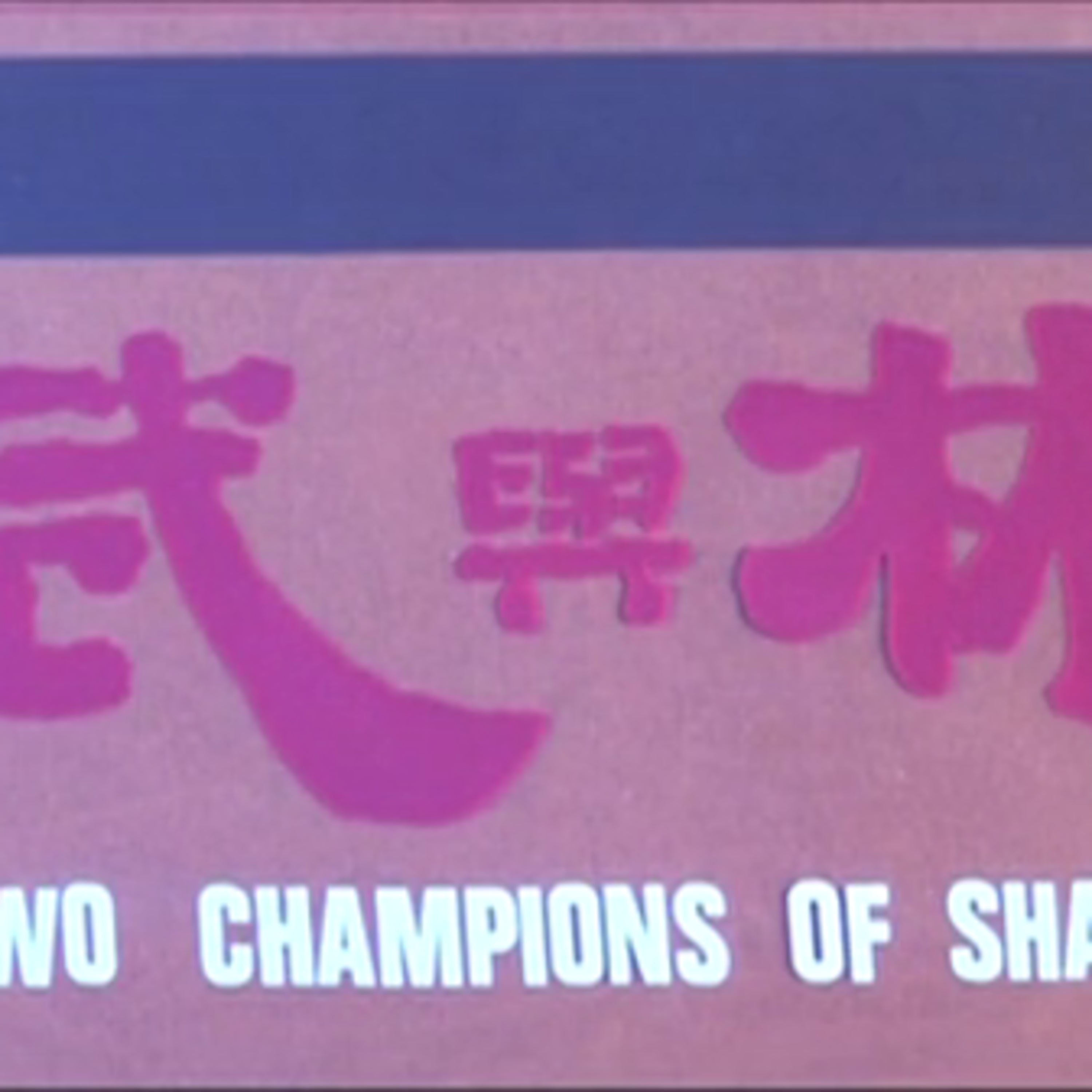 798. Two Champions of Shaolin vs Wu Tang! 1980