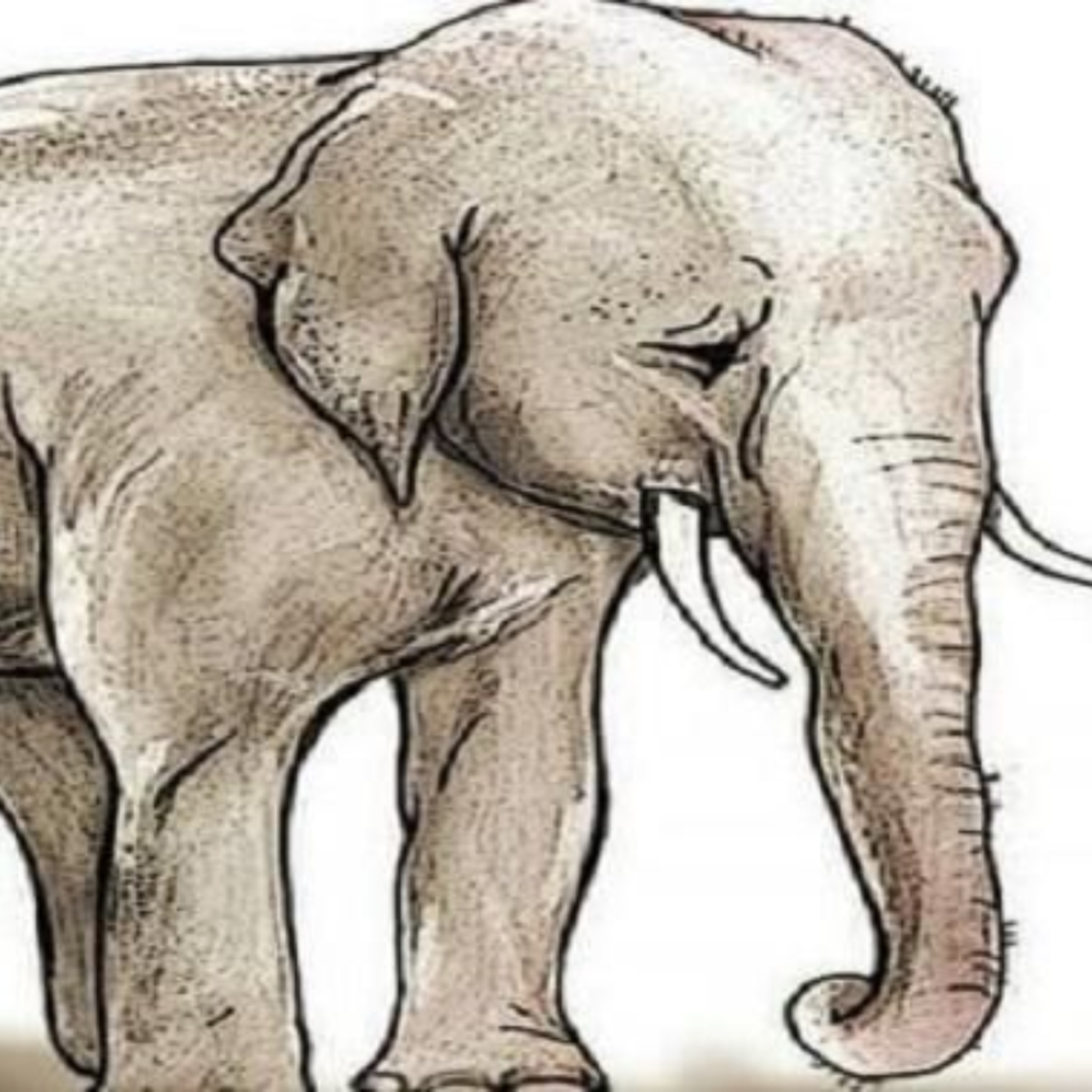 The Elephant Breaks His Chain episode artwork