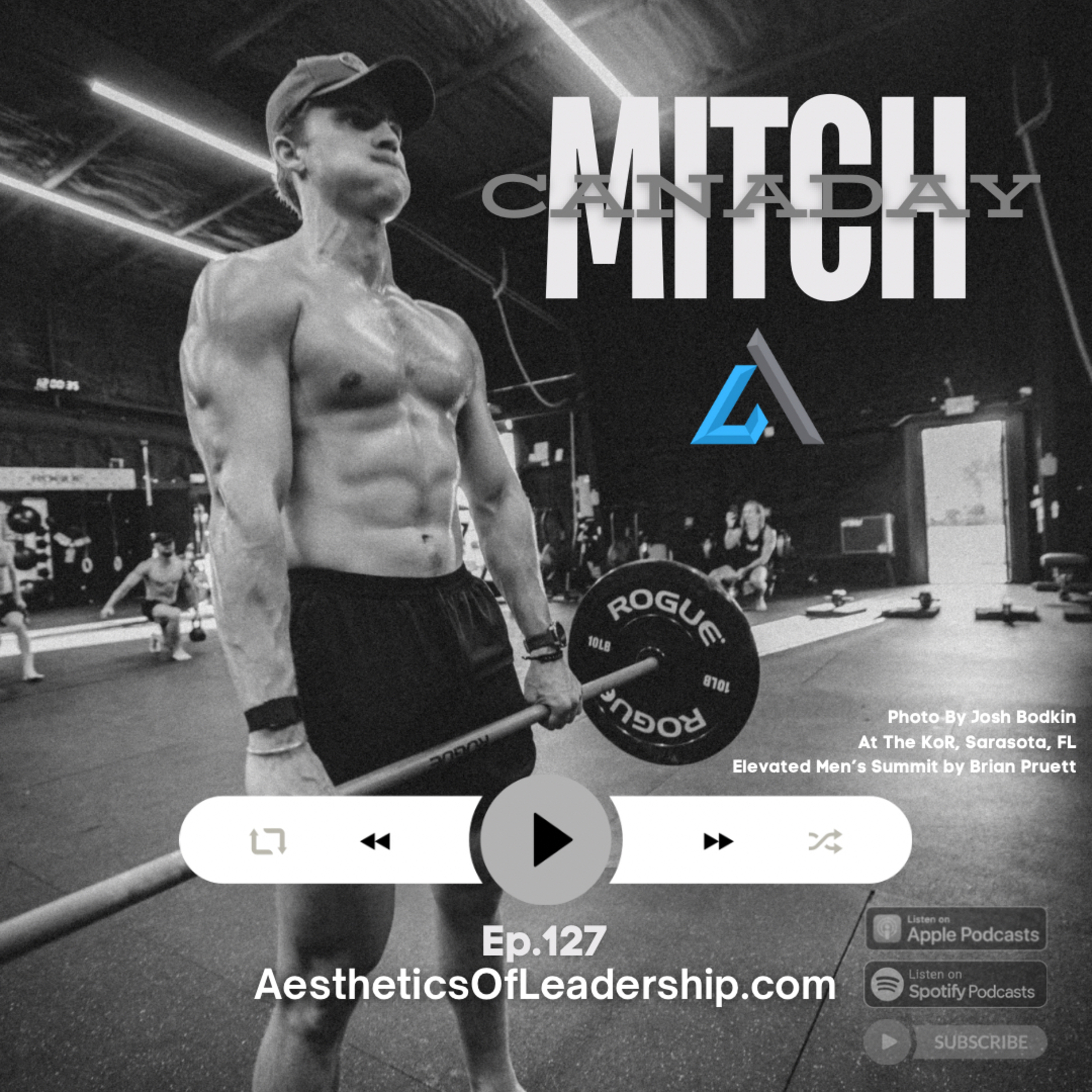The Aesthetics of Leadership