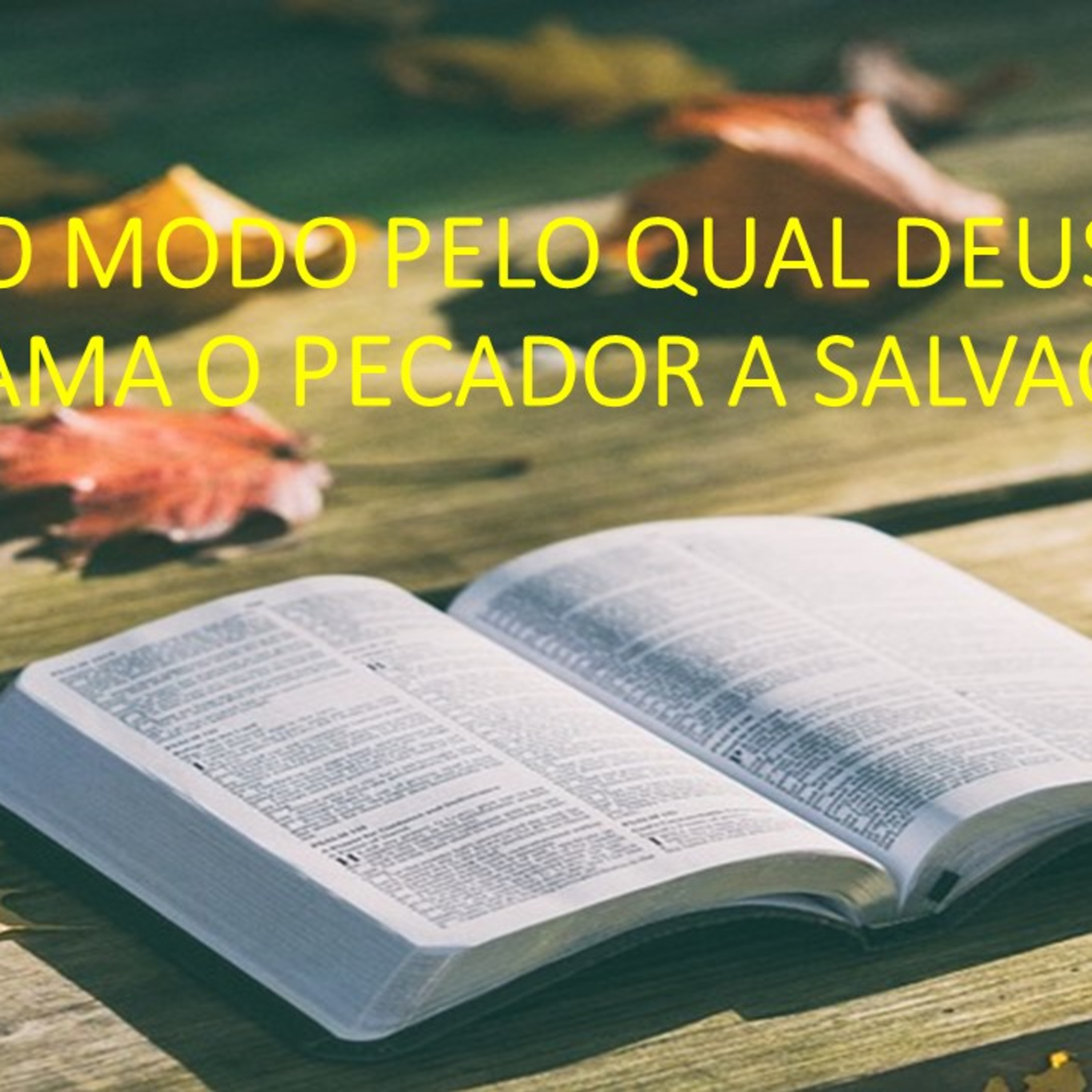 O MODO PELO QUAL DEUS CHAMA O PECADOR A SALVAÇÃO episode artwork