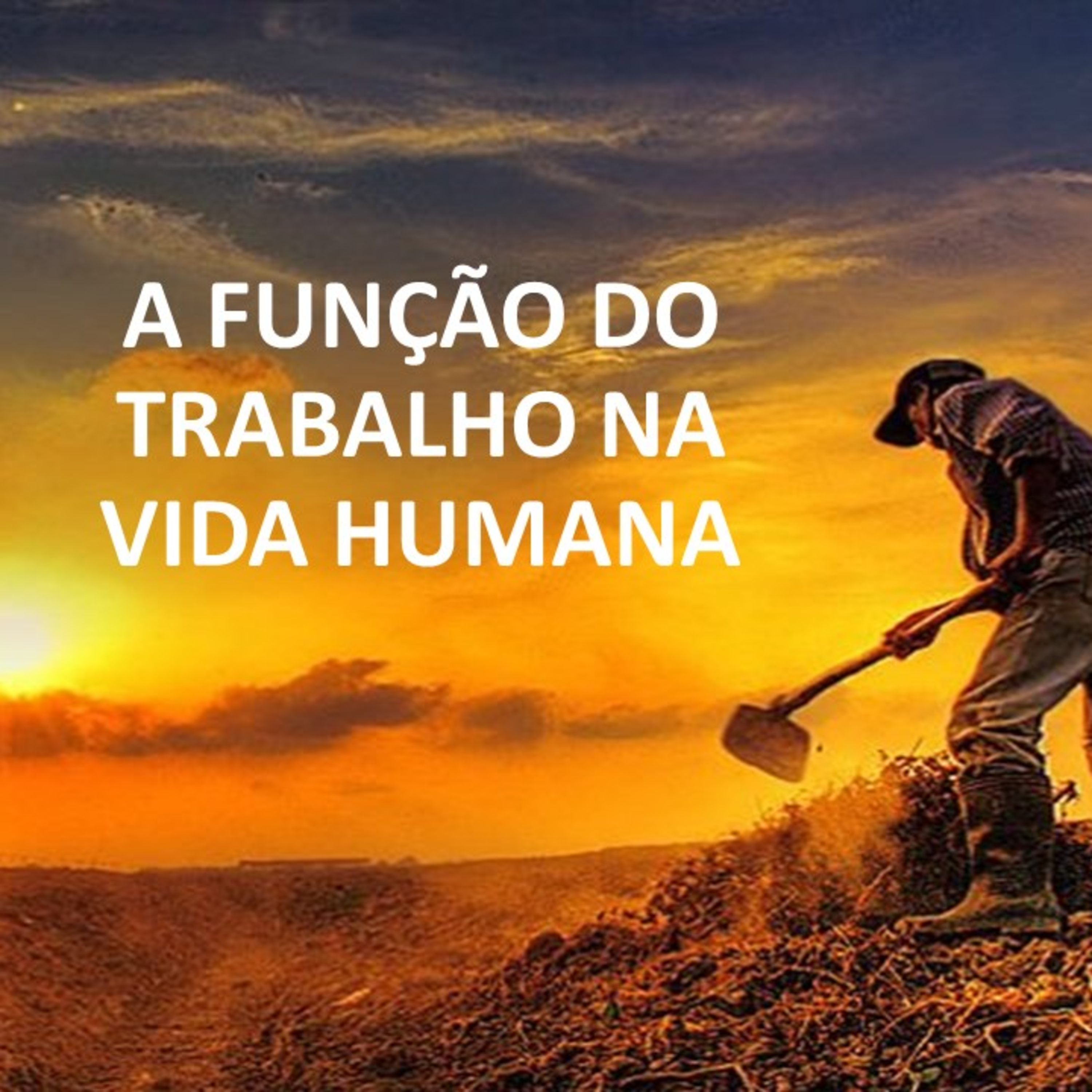 A FUNÇÃO DO TRABALHO NA VIDA HUMANA