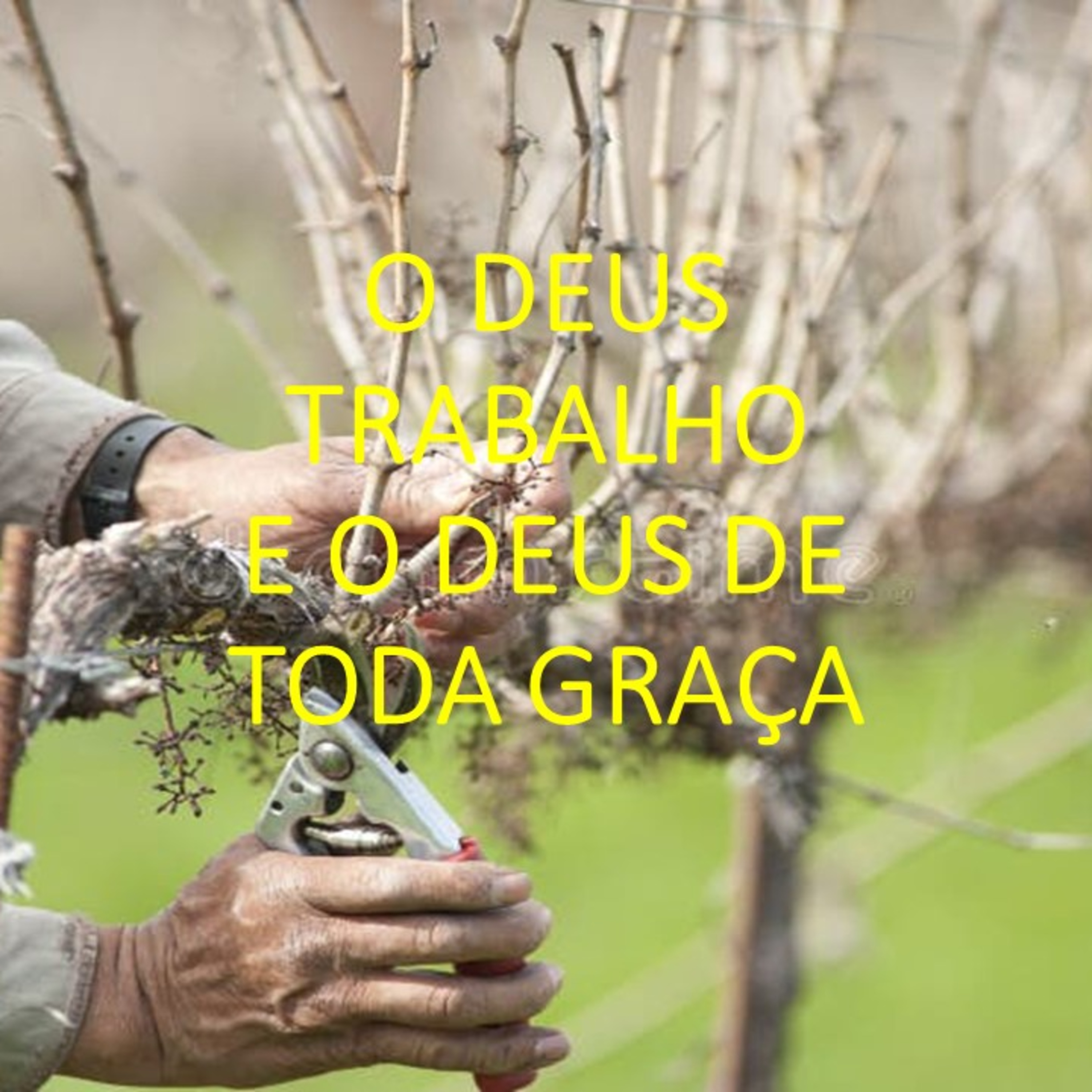 O DEUS TRABALHO E O DEUS DE TODA GRAÇA
