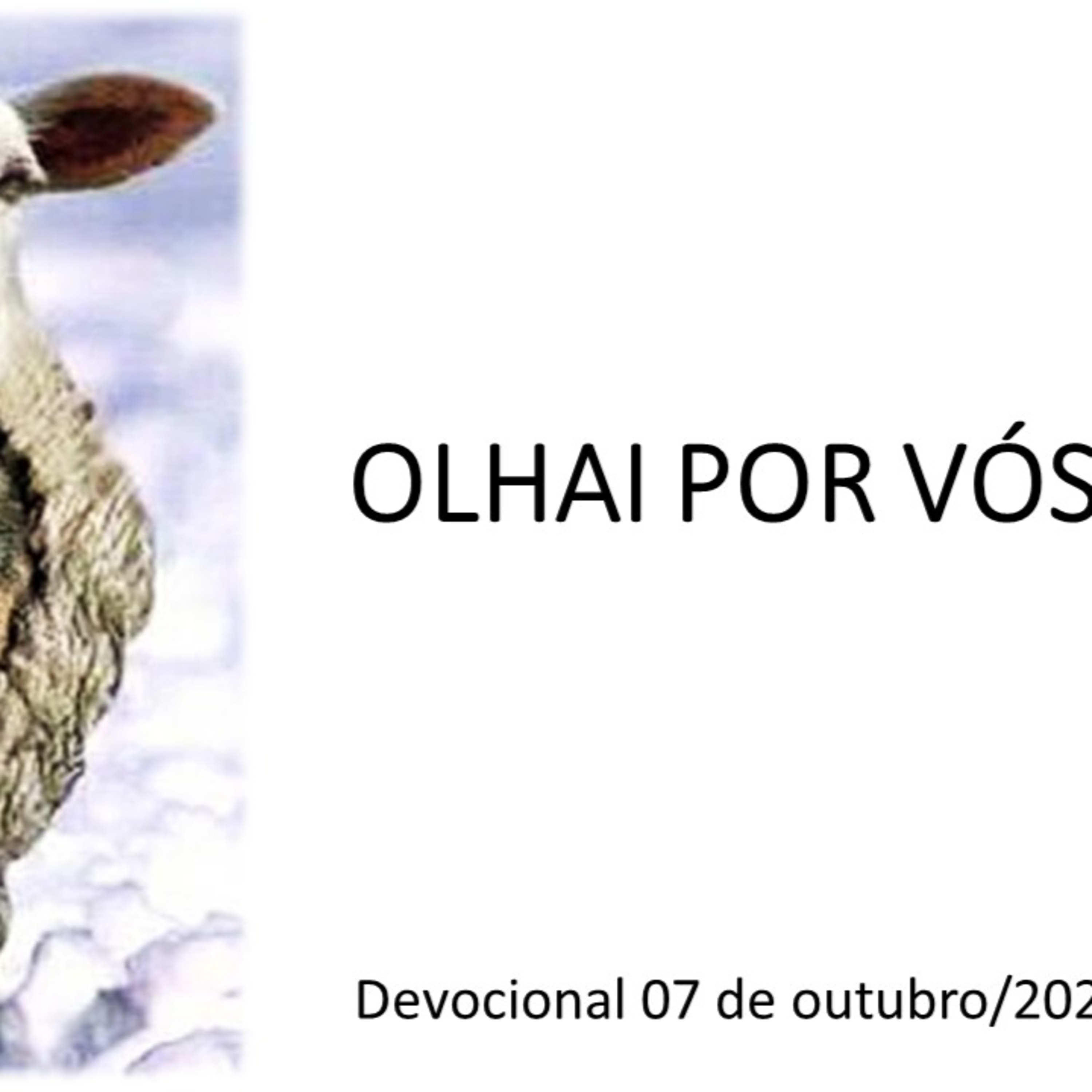 OLHAI POR VÓS