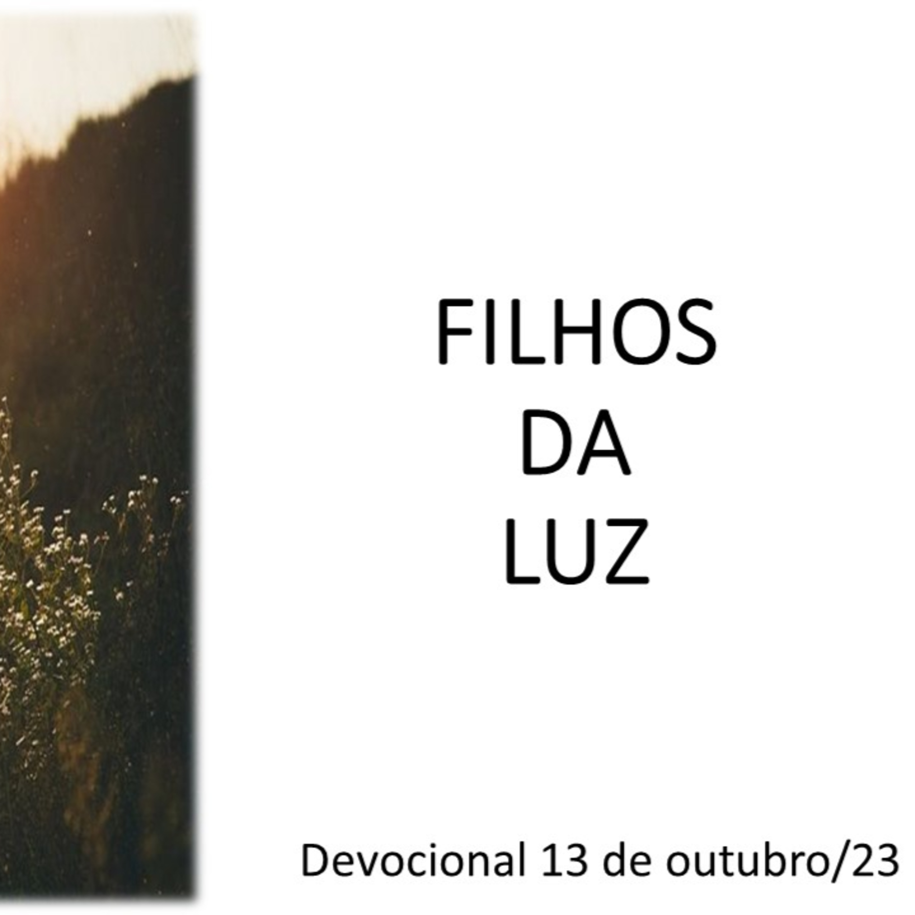 FILHOS DA LUZ
