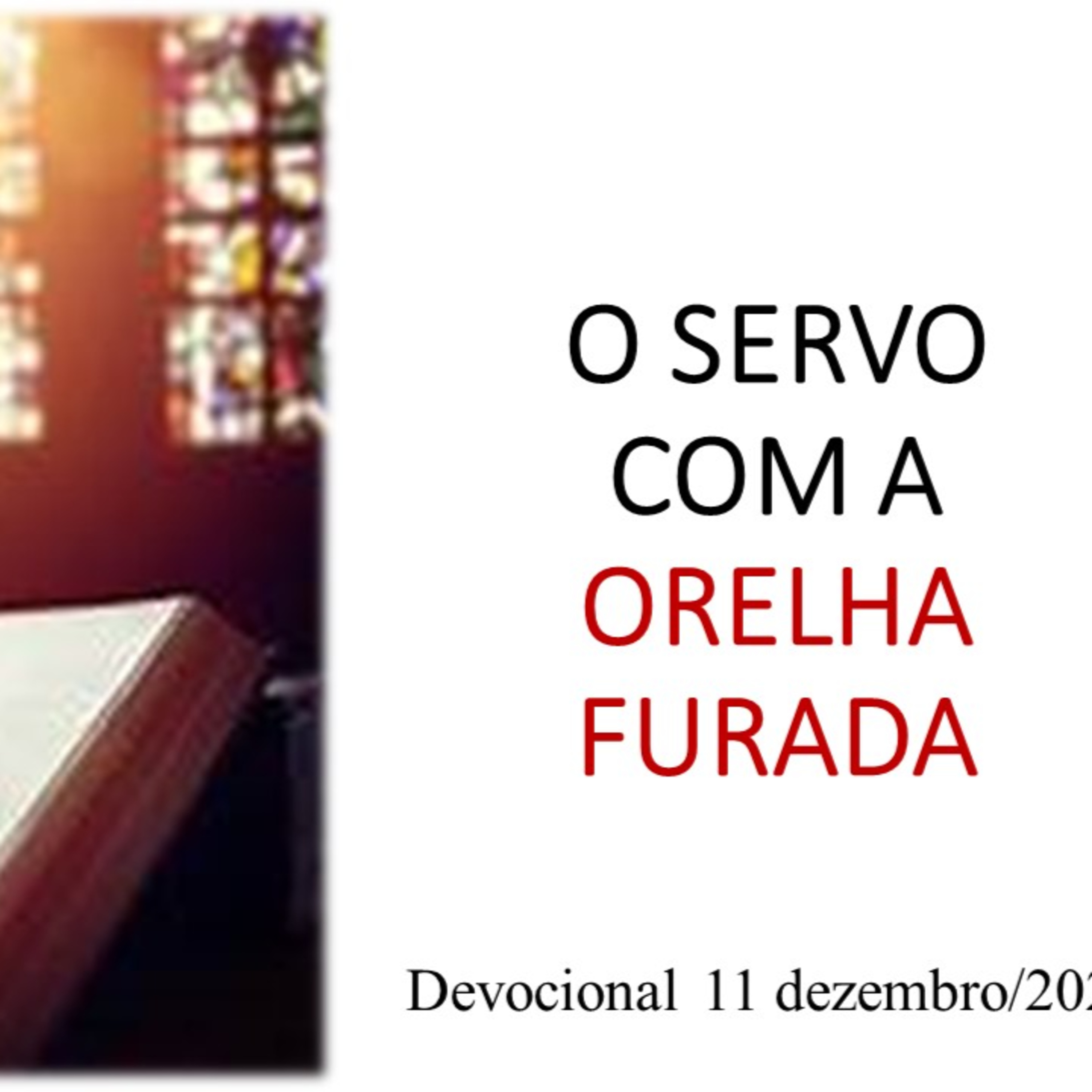 O SERVO COM A ORELHA FURADA episode artwork