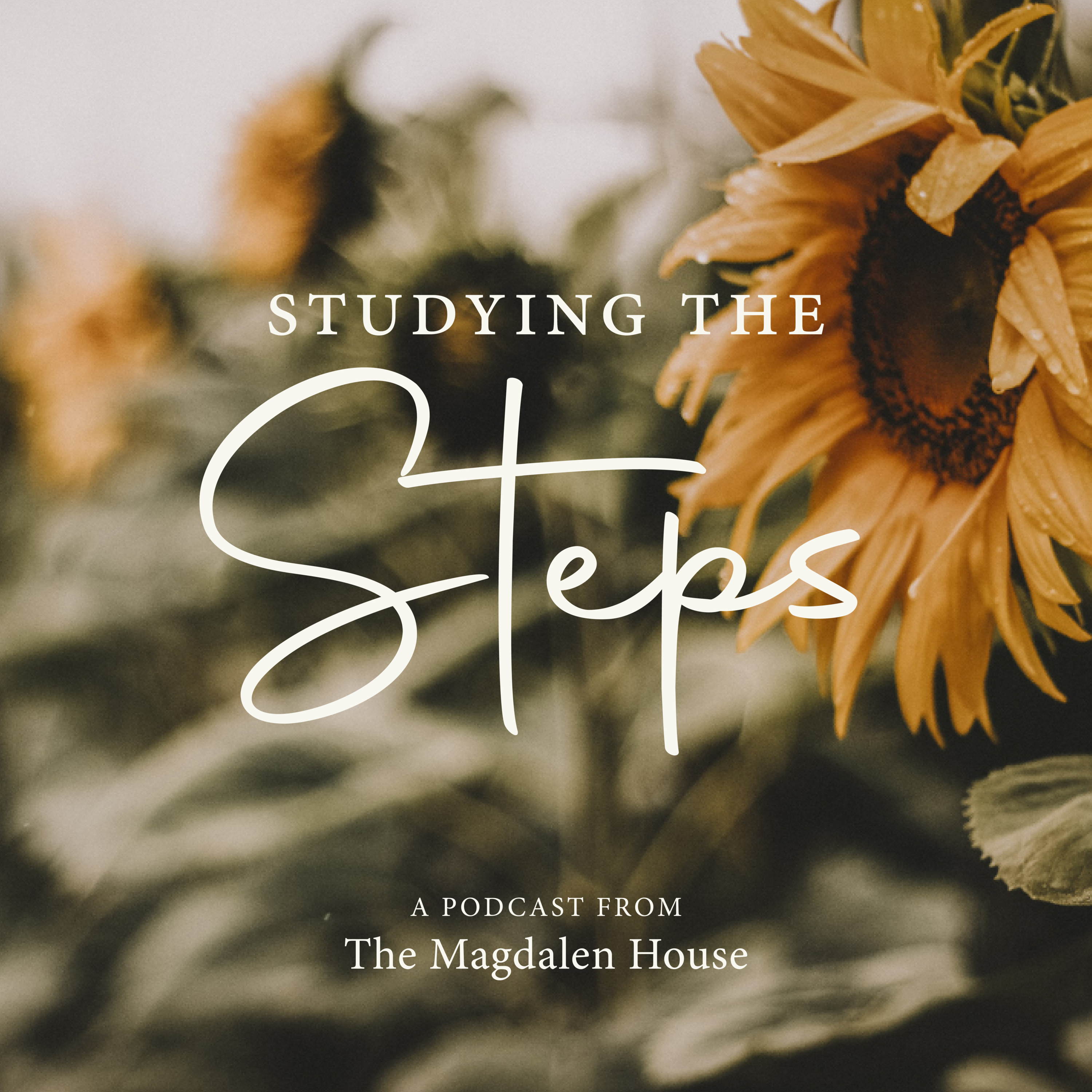 417: 12 Step Immersion with Teresa Hollingsworth | Studying the Steps episode artwork