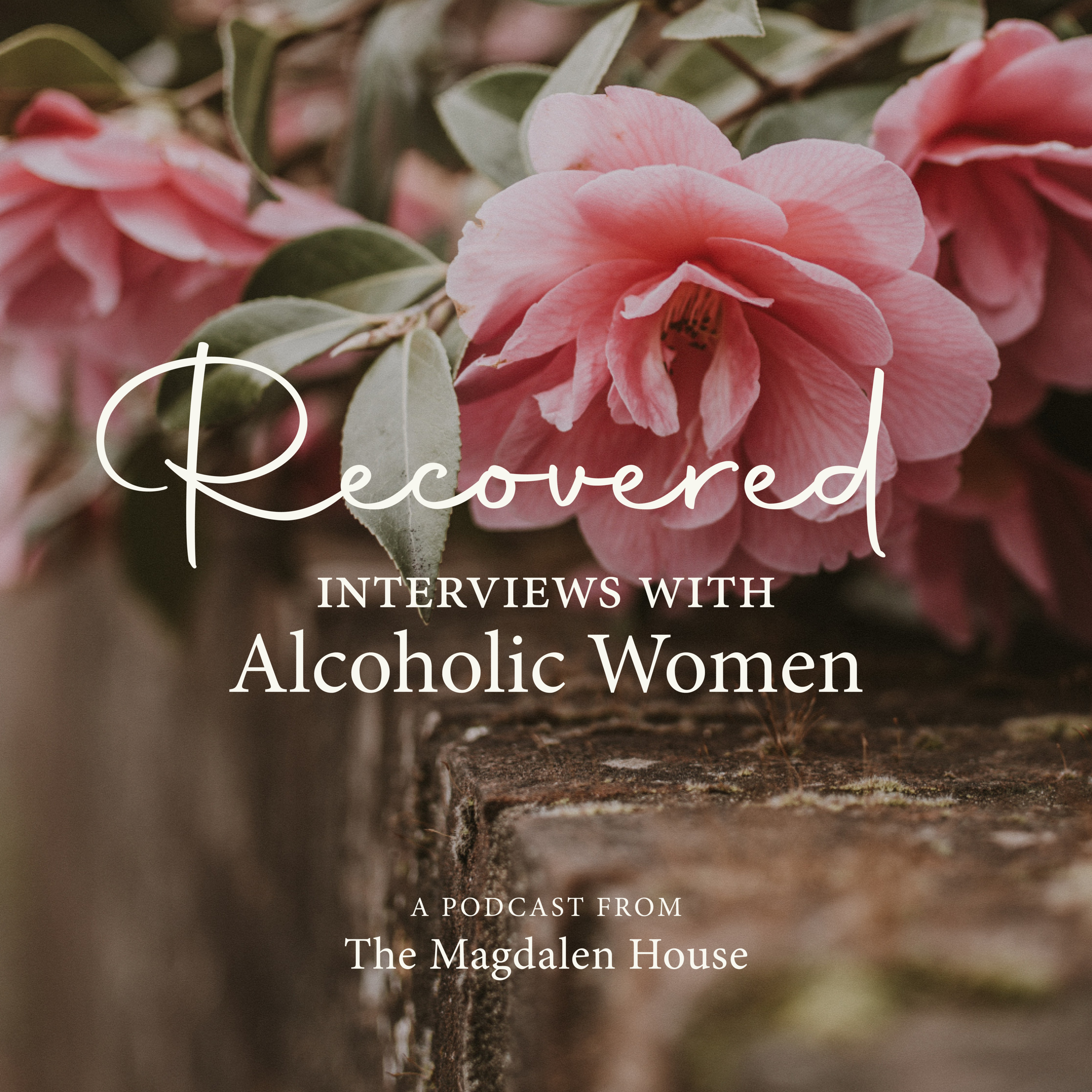 421: Austin Shook | Recovered: Interviews with Alcoholics episode artwork