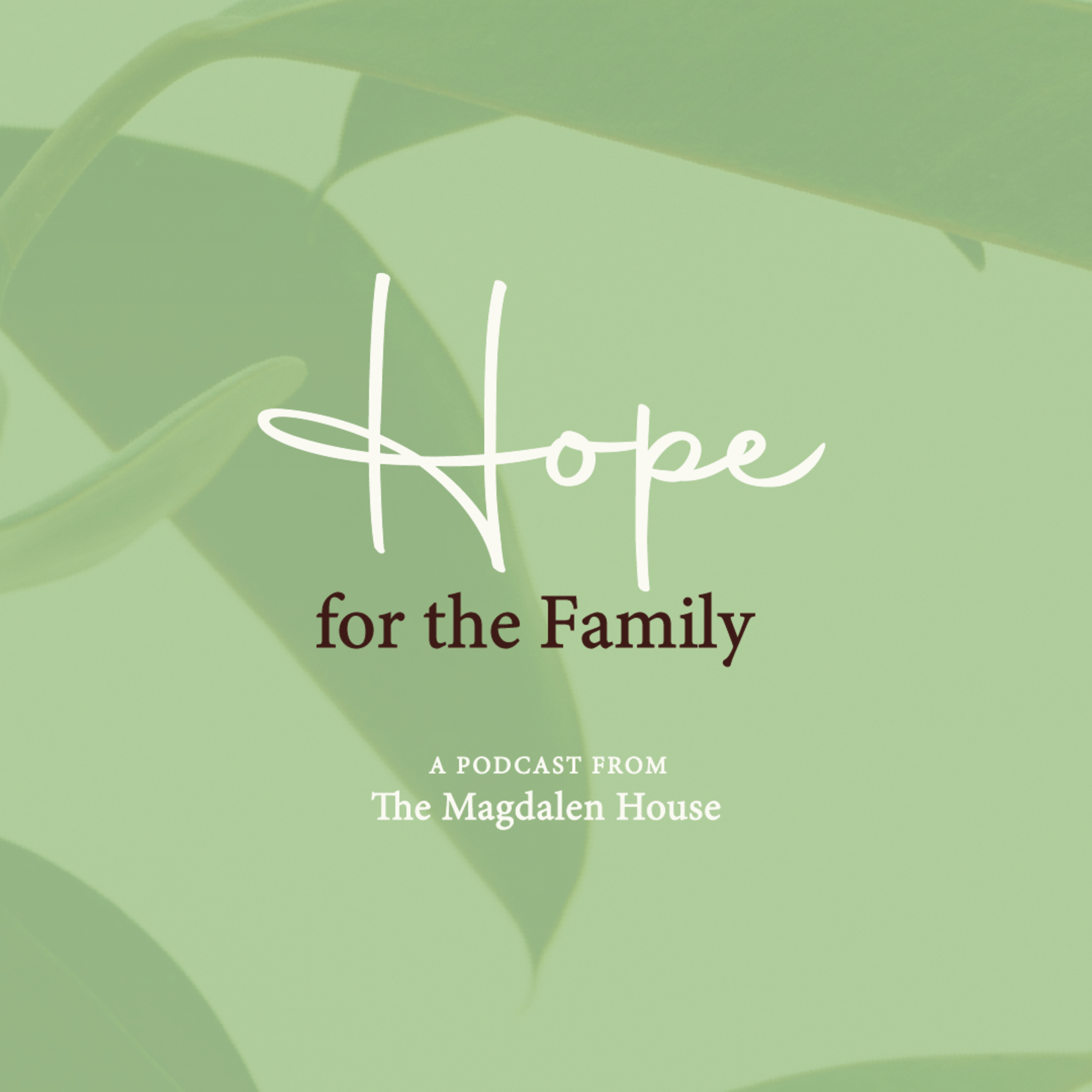 502: Dry But Not Recovered with Sloan Dix | Hope for the Family episode artwork