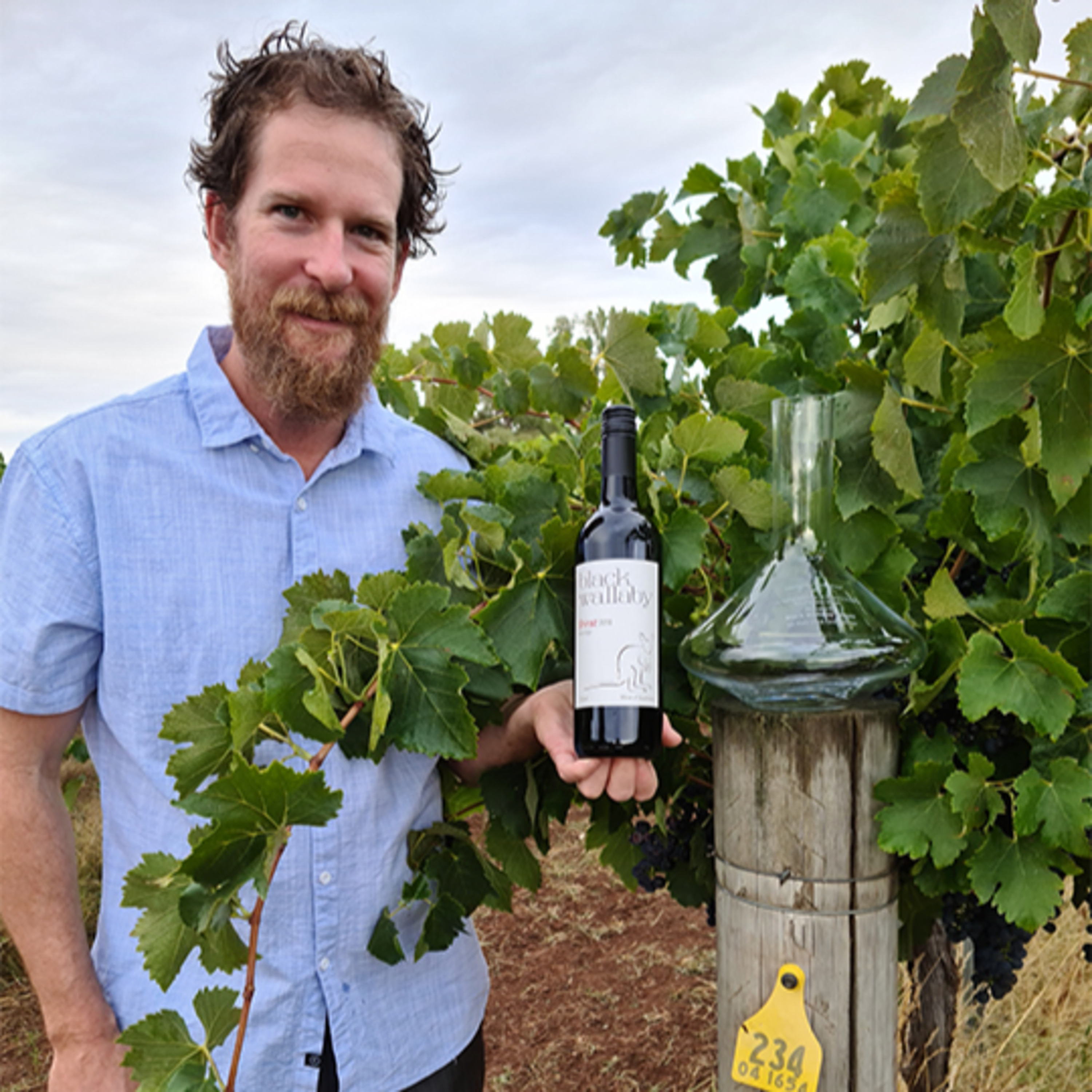 The Wine Show Australia