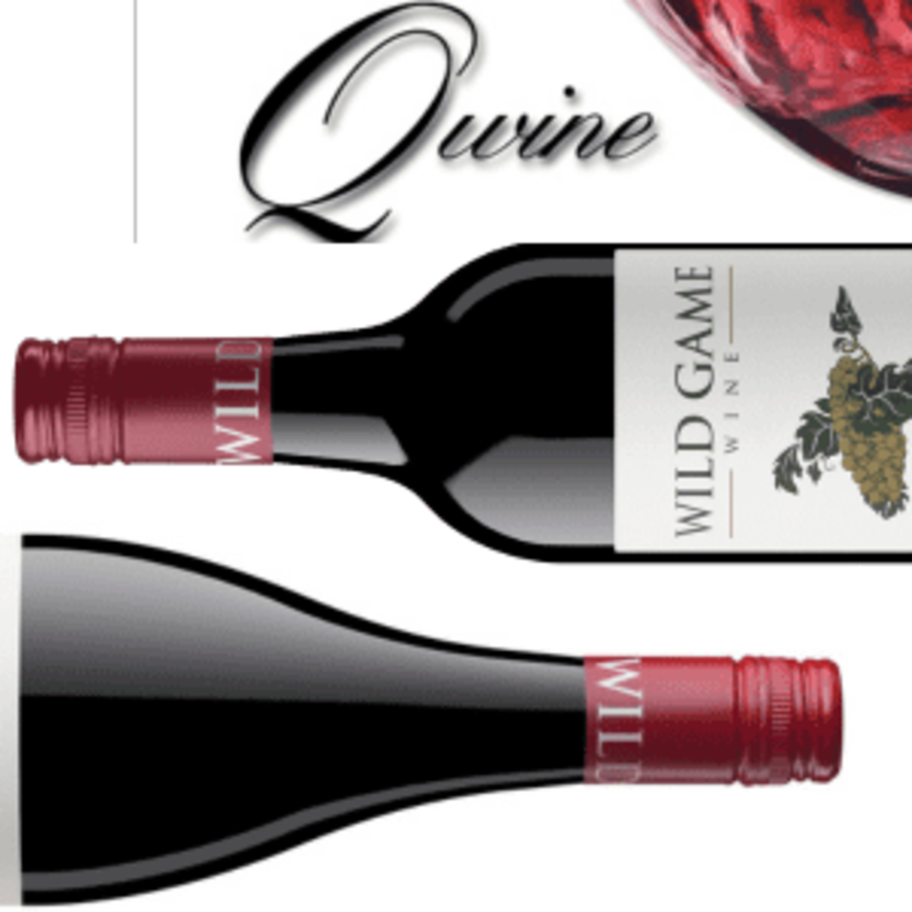 The Wine Show Australia