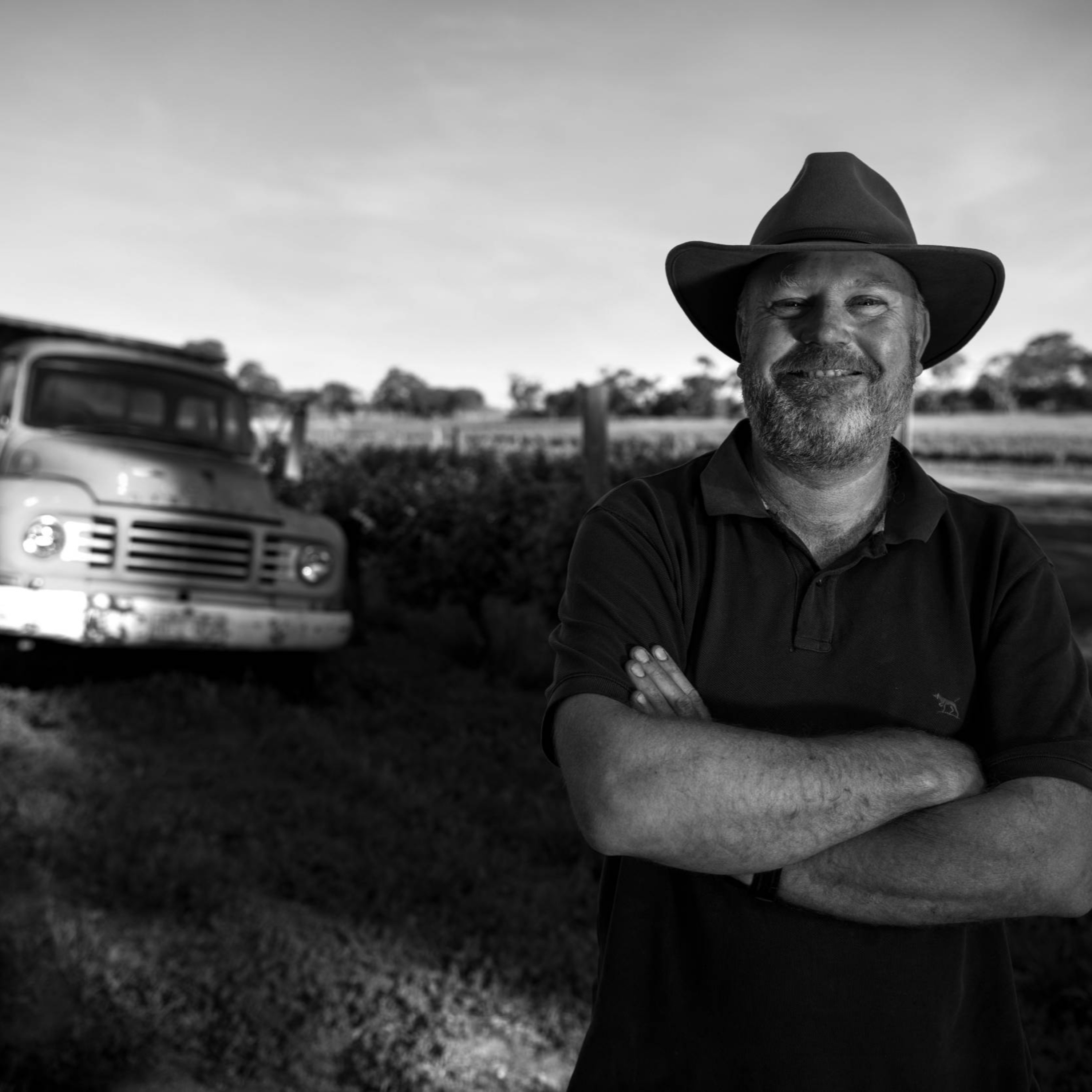 Will Shields - Sevenhill Wines (Clare Valley) episode artwork