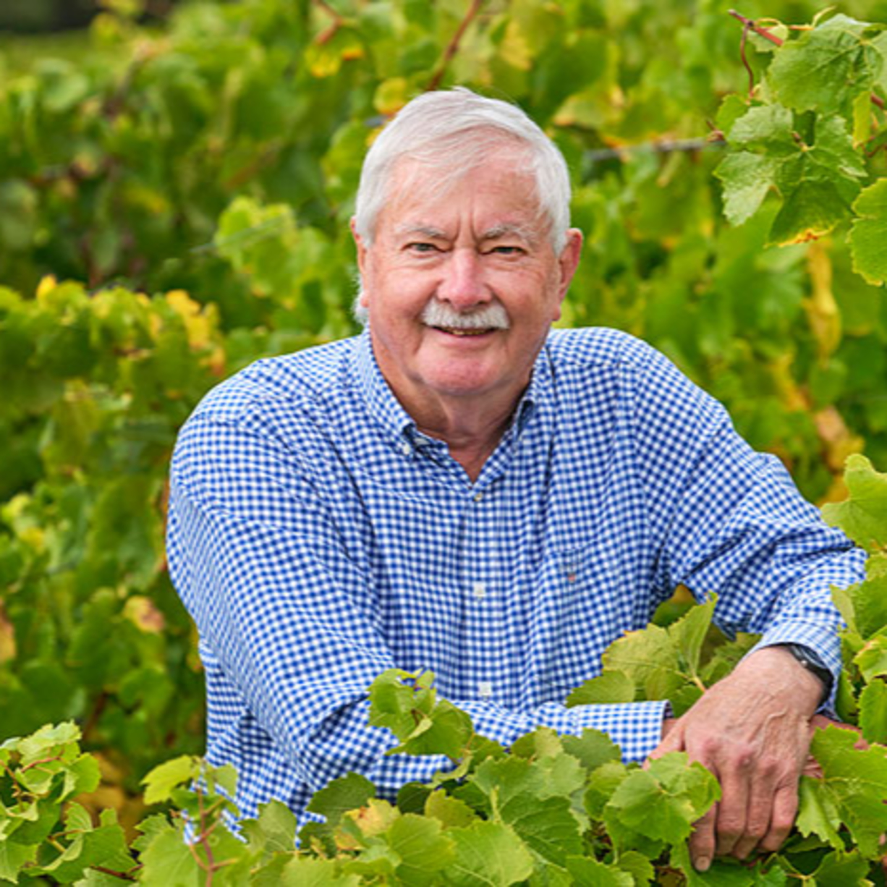 The Wine Show Australia