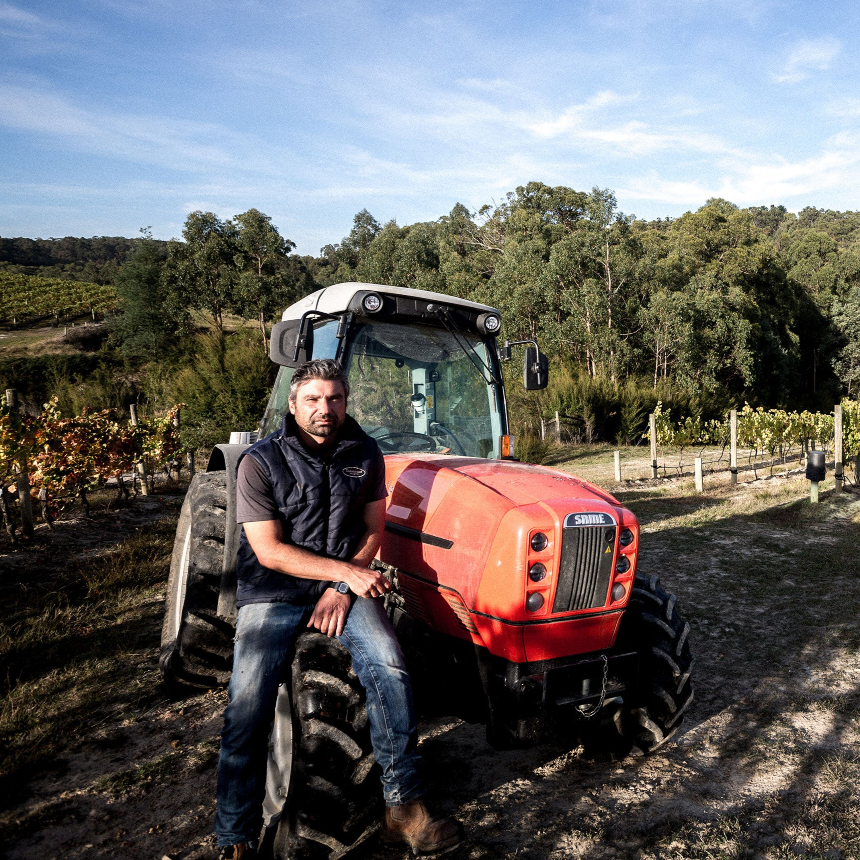 The Wine Show Australia