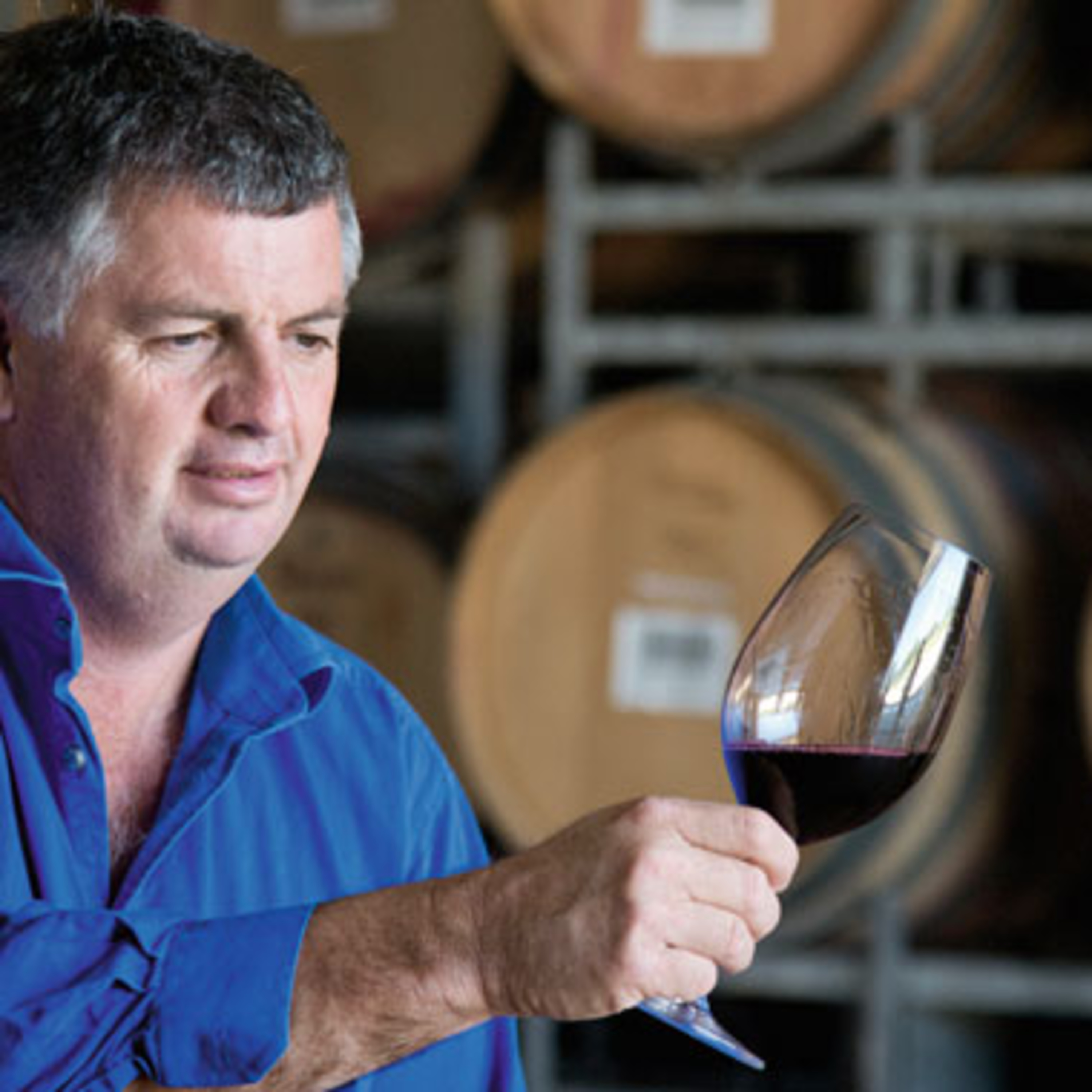 Guy Metala - Metala Wines (Langhorne Creek, SA) episode artwork