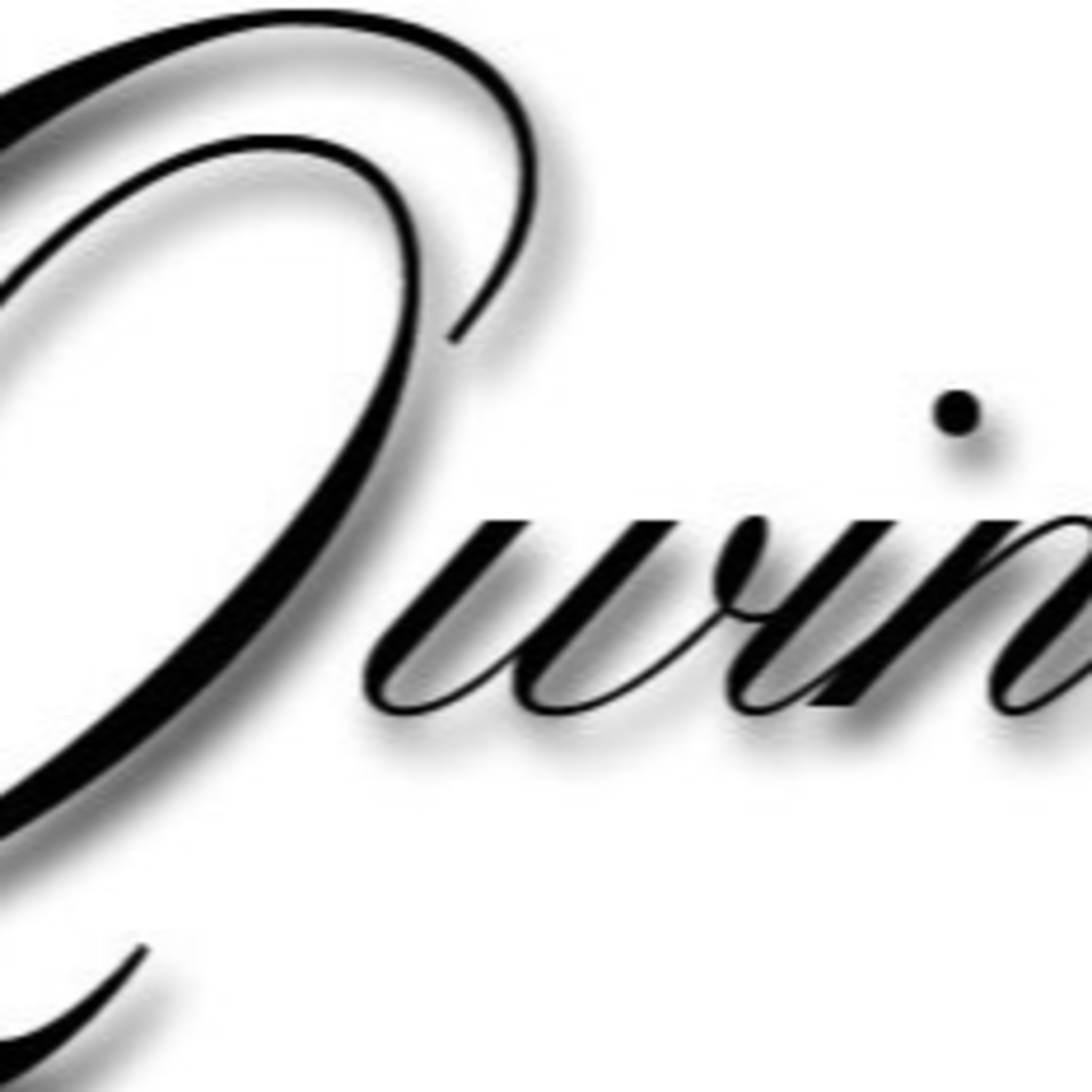 The Wine Show Australia