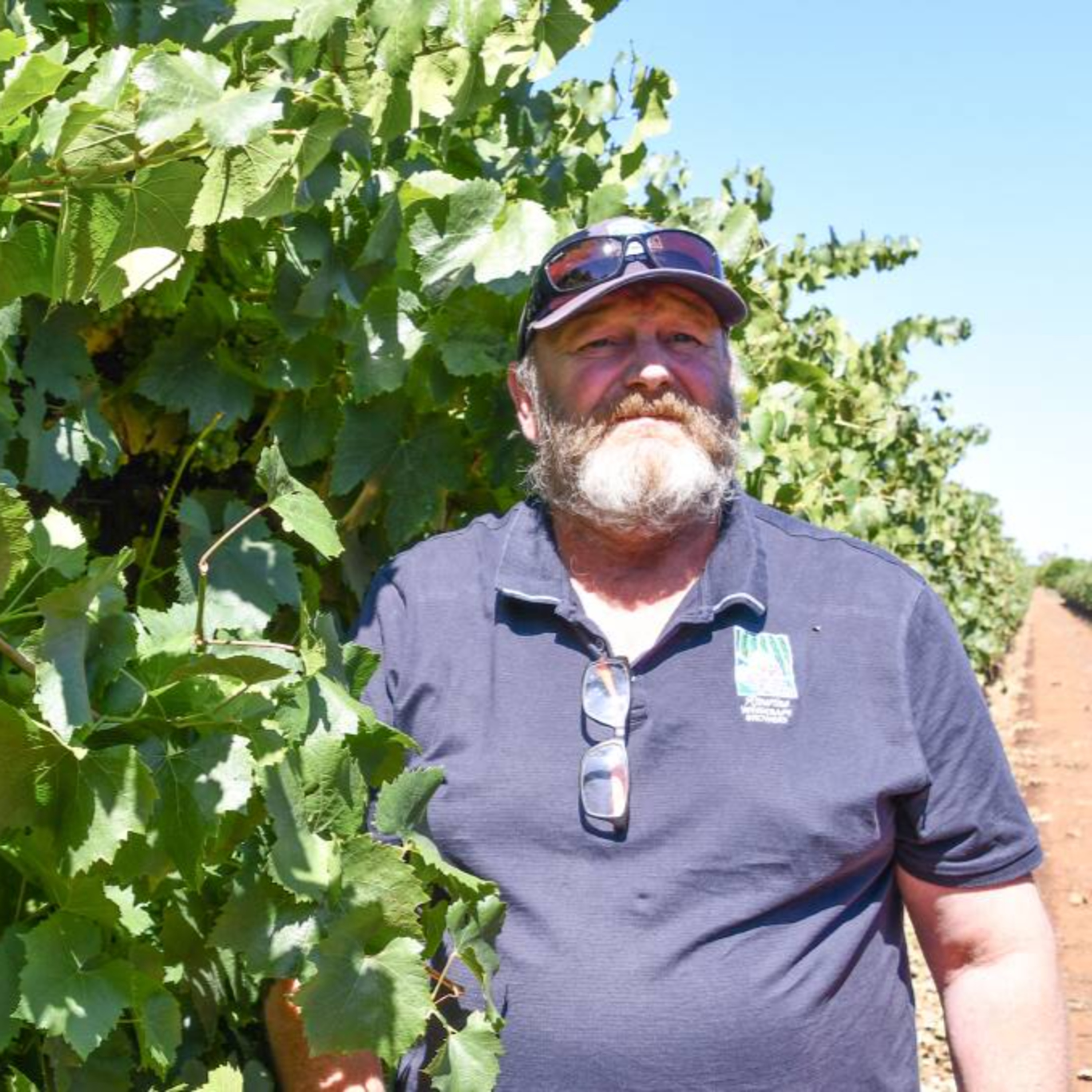 The Wine Show Australia