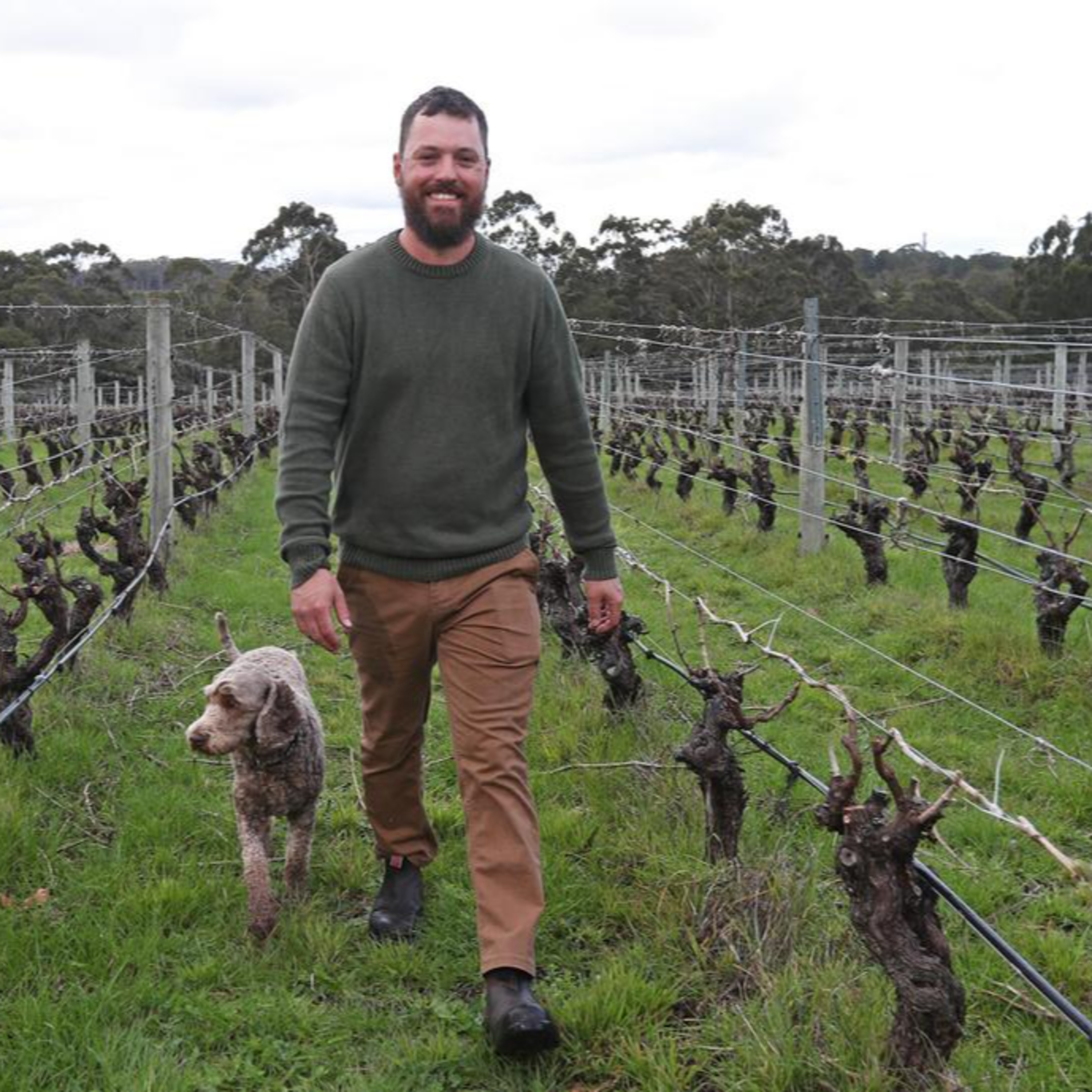 The Wine Show Australia