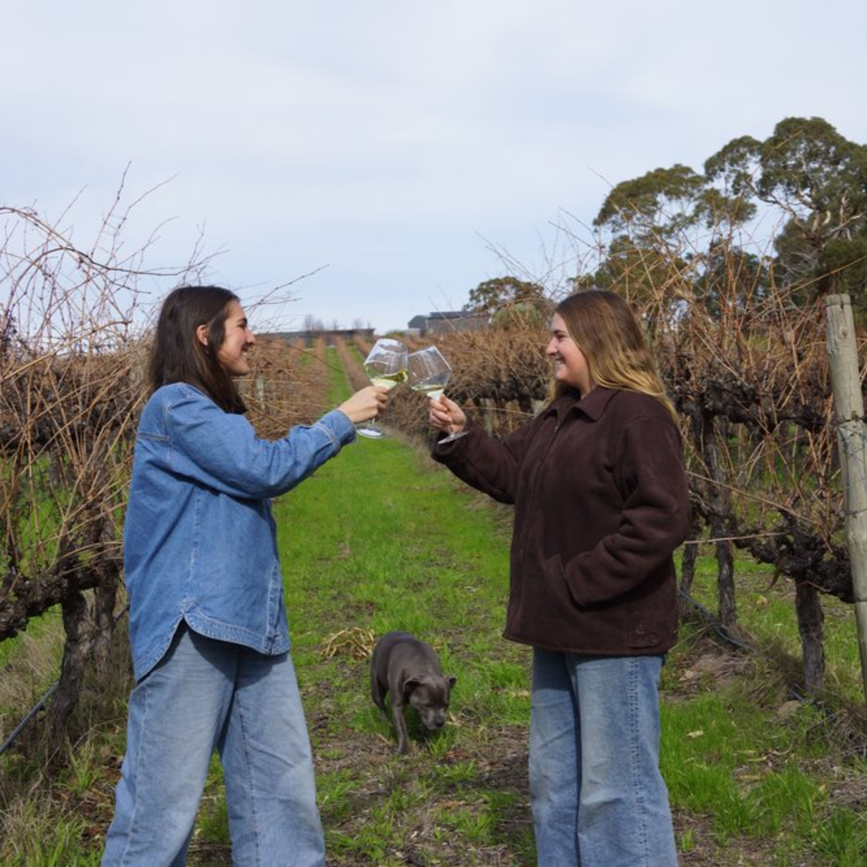 The Wine Show Australia