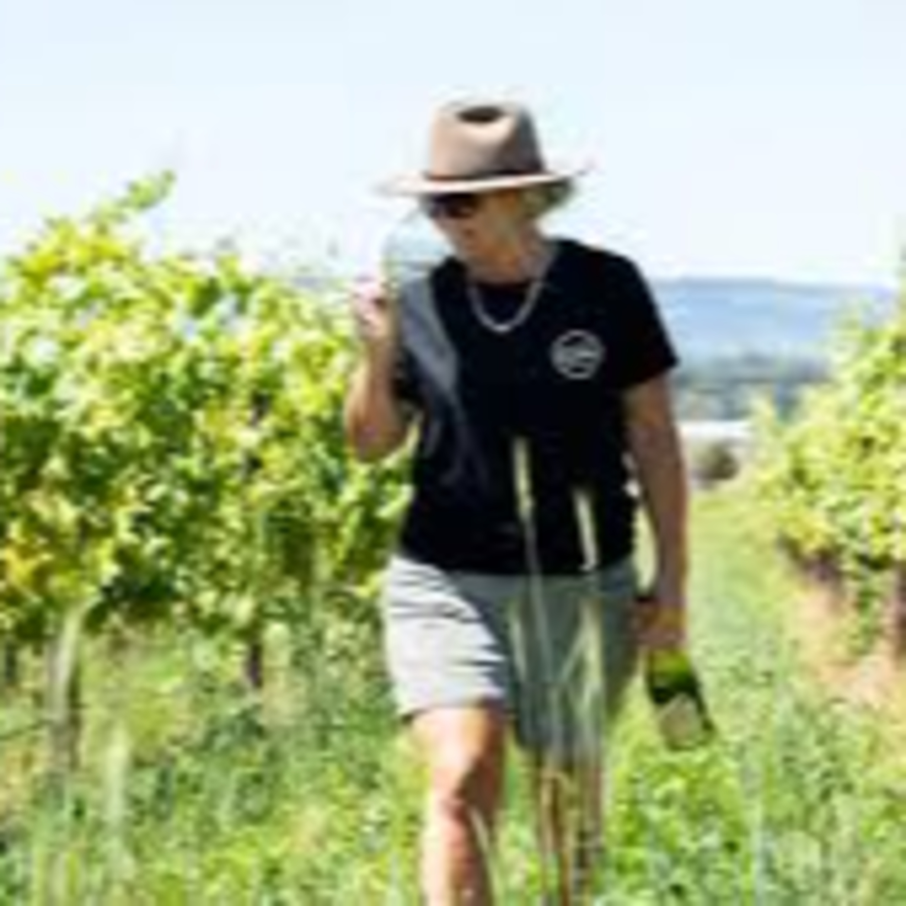 The Wine Show Australia