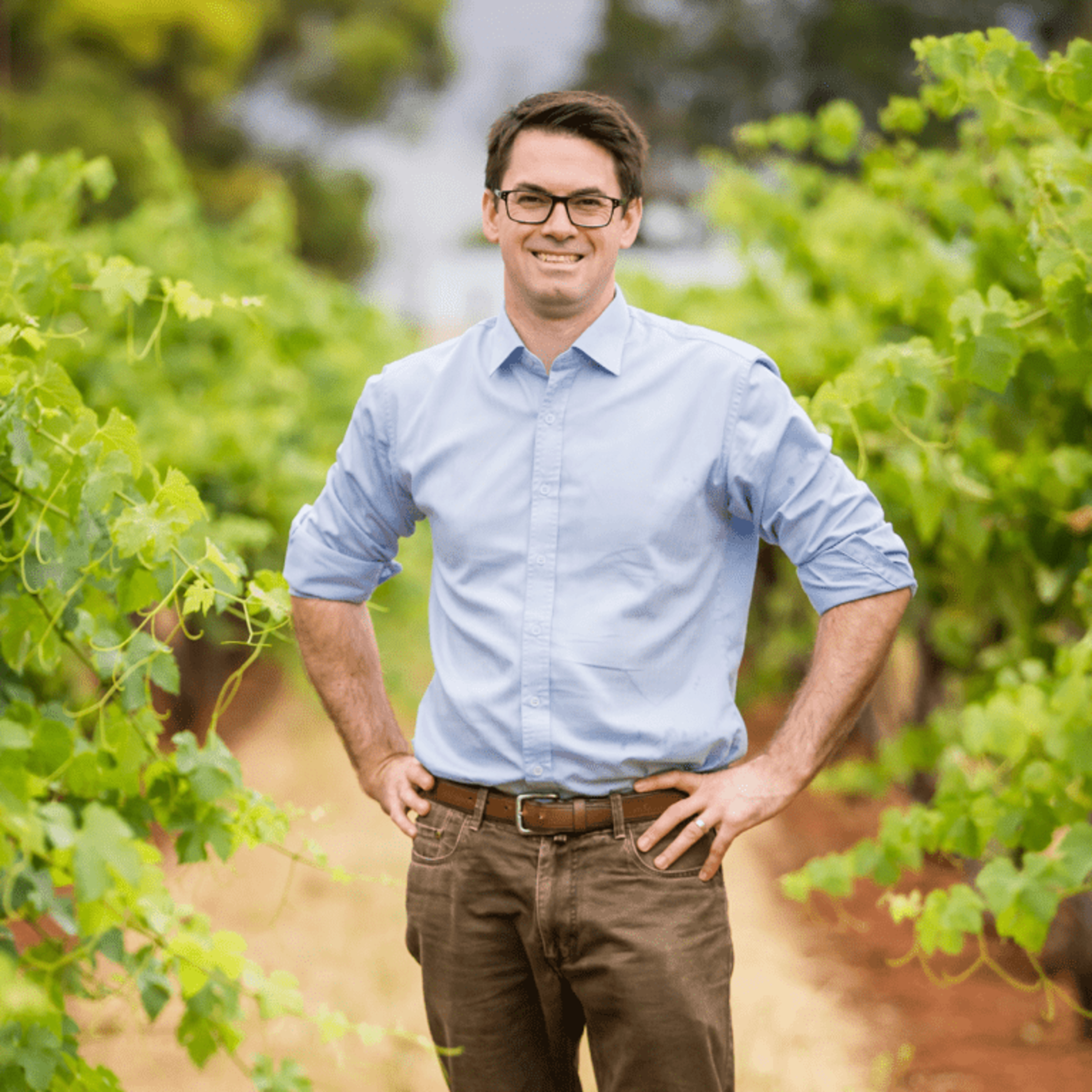 Sam Brand - Brand & Sons (Coonawarra) episode artwork