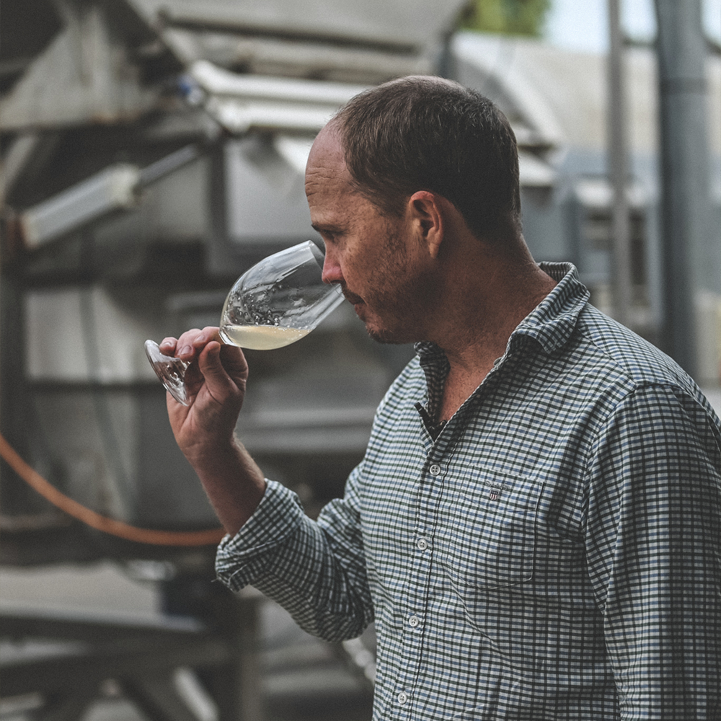 The Wine Show Australia