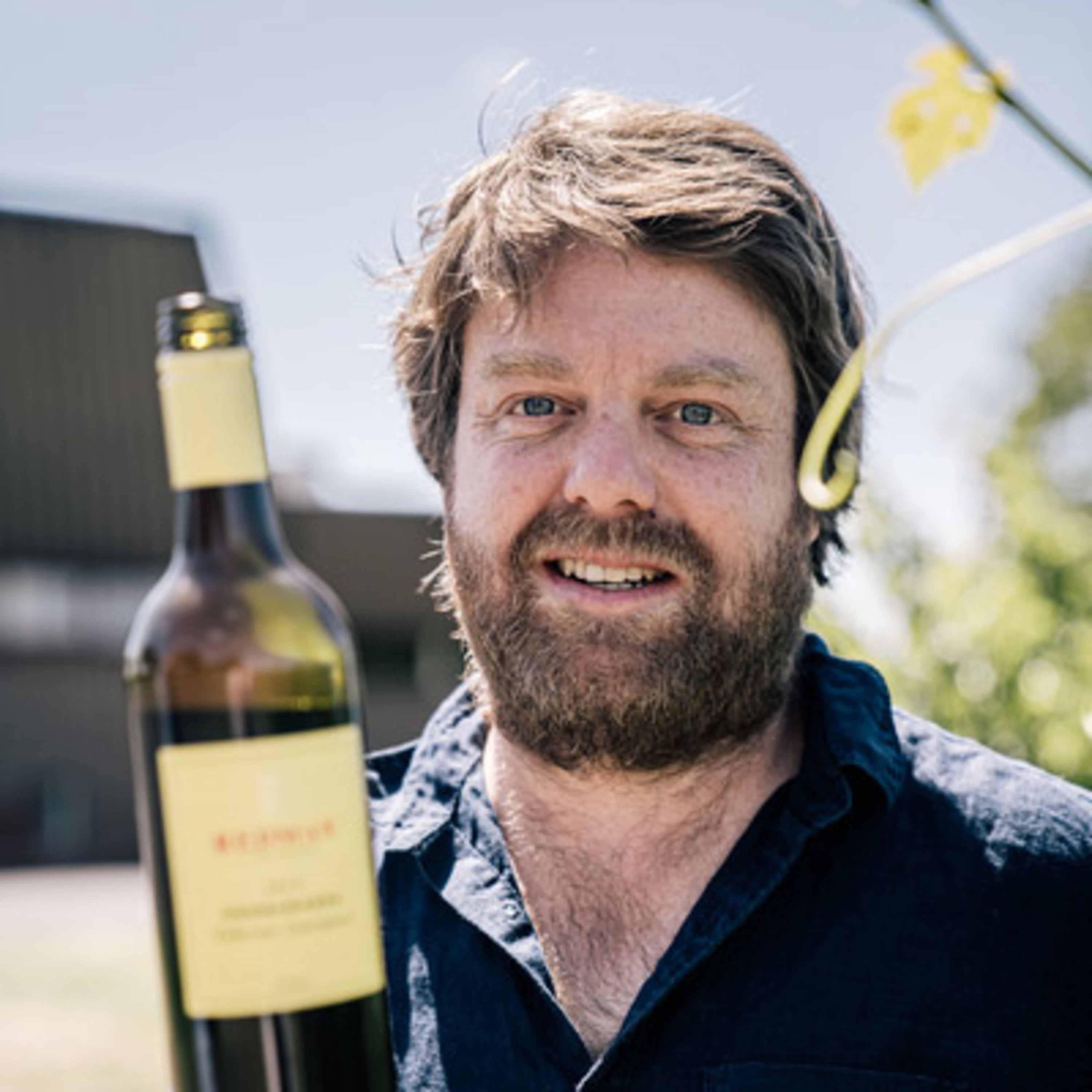 Dan Redman - Redman Wines (Coonawarra) episode artwork