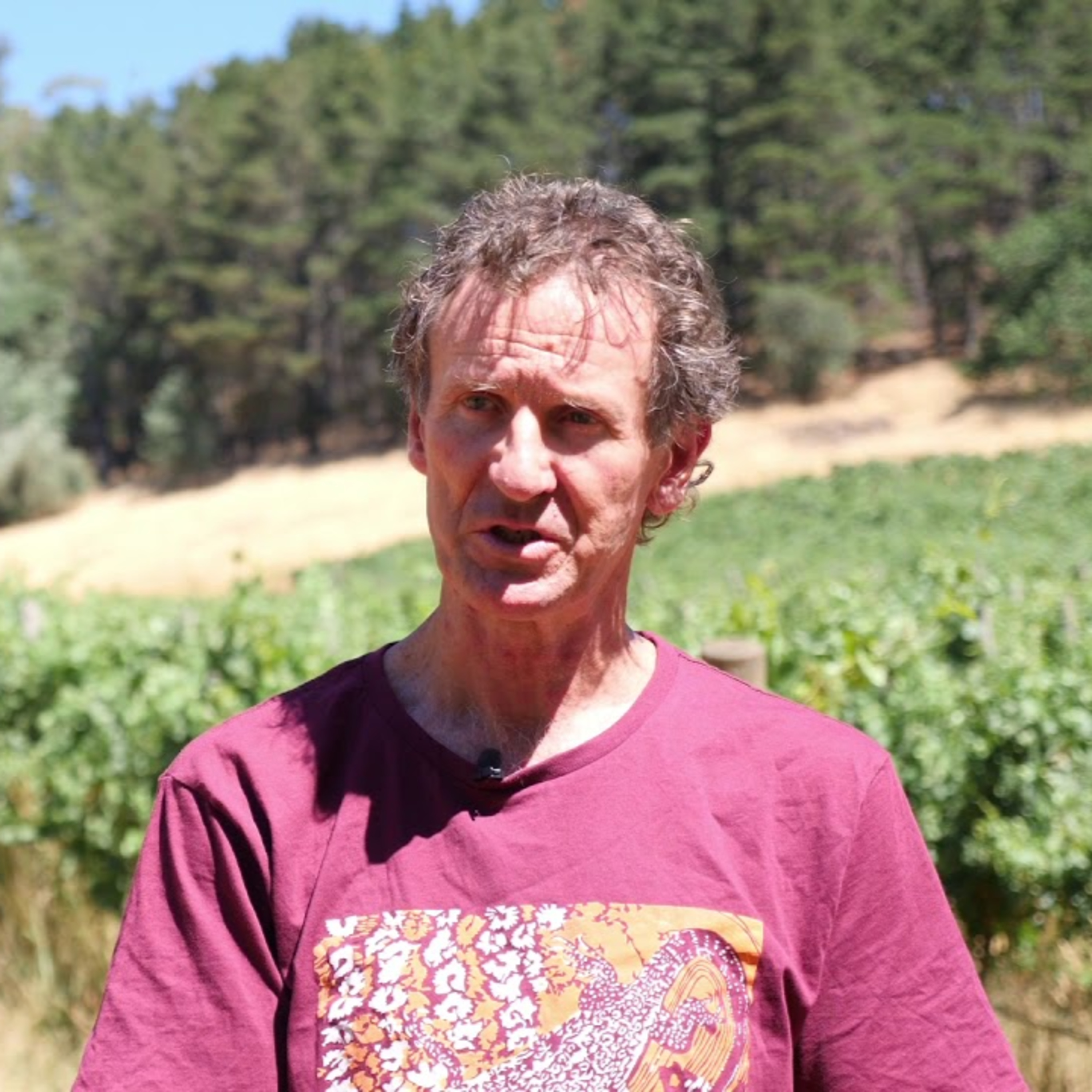 Greg Horner - Mt Bera Vineyards (Adelaide Hills) episode artwork