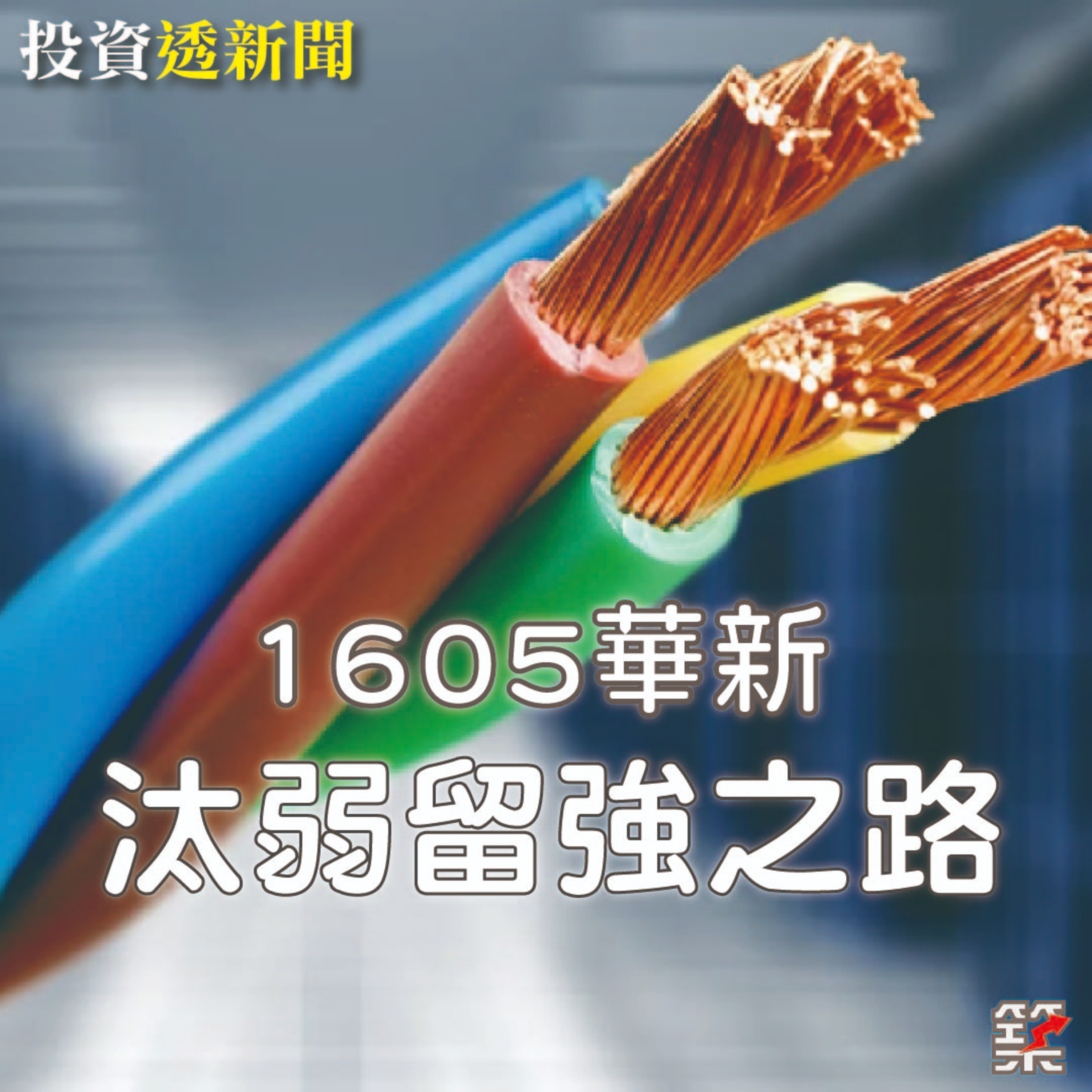 Ep.155【飛龍講股|投資透新聞】1605華新的汰弱留強之路|陳飛龍feat.Anna (2023 Jun.)