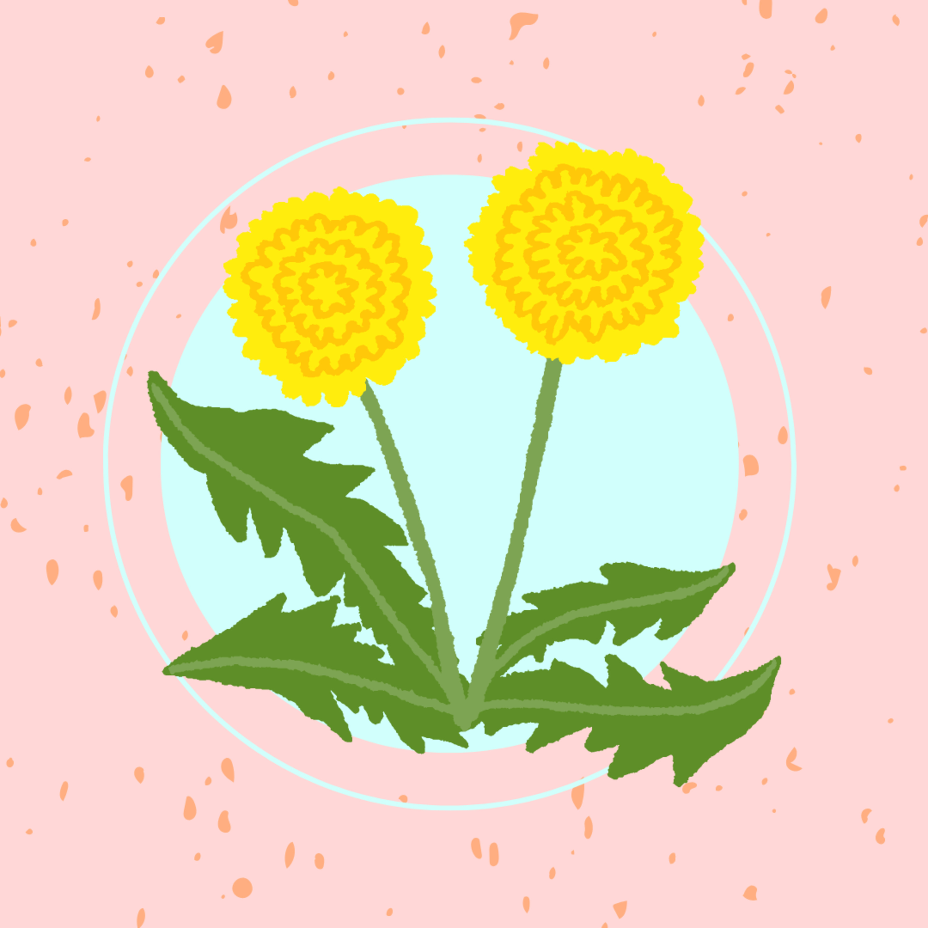 Löwenzahnblumen, warum lieben wir sie so sehr? episode artwork