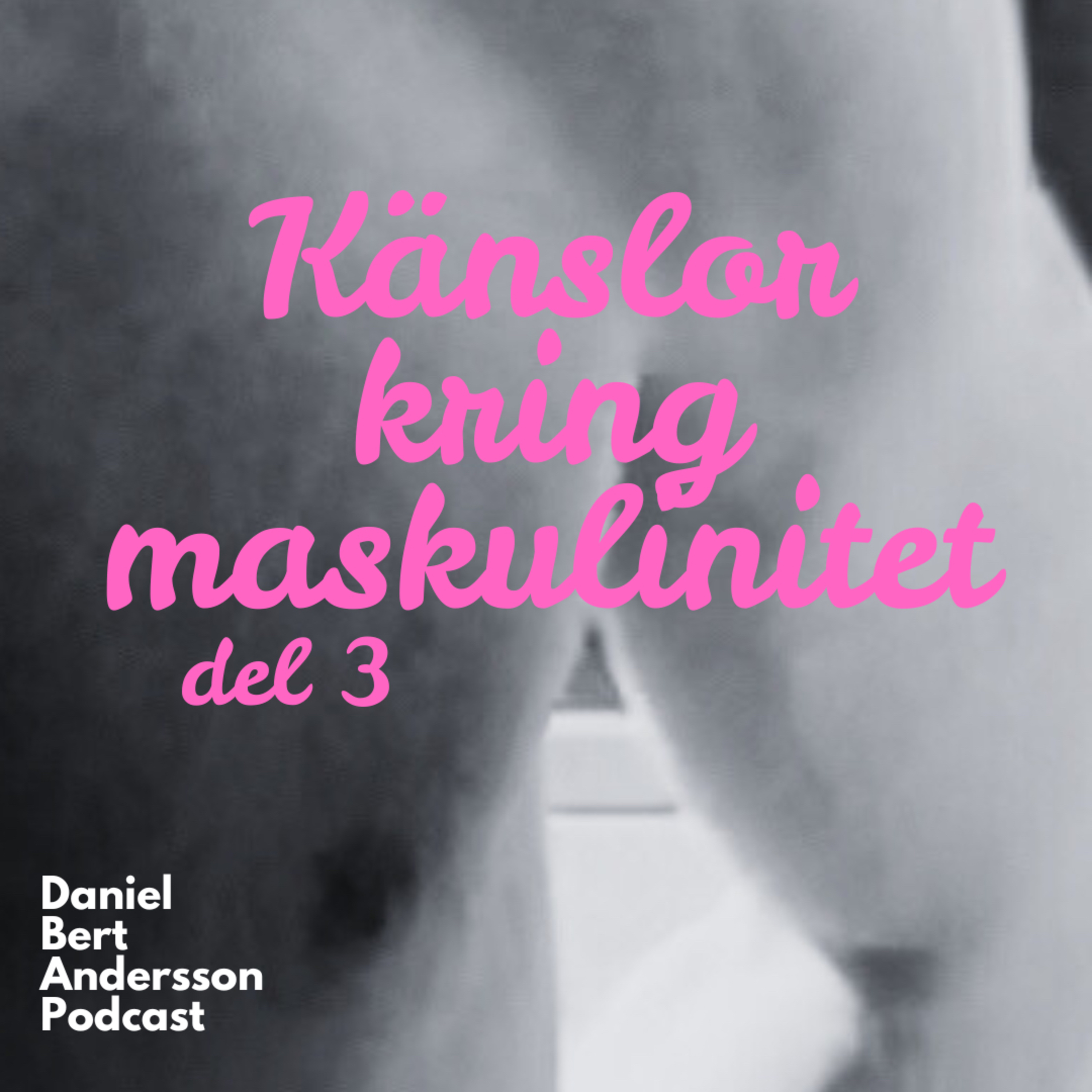 Daniel Bert Andersson Podcast