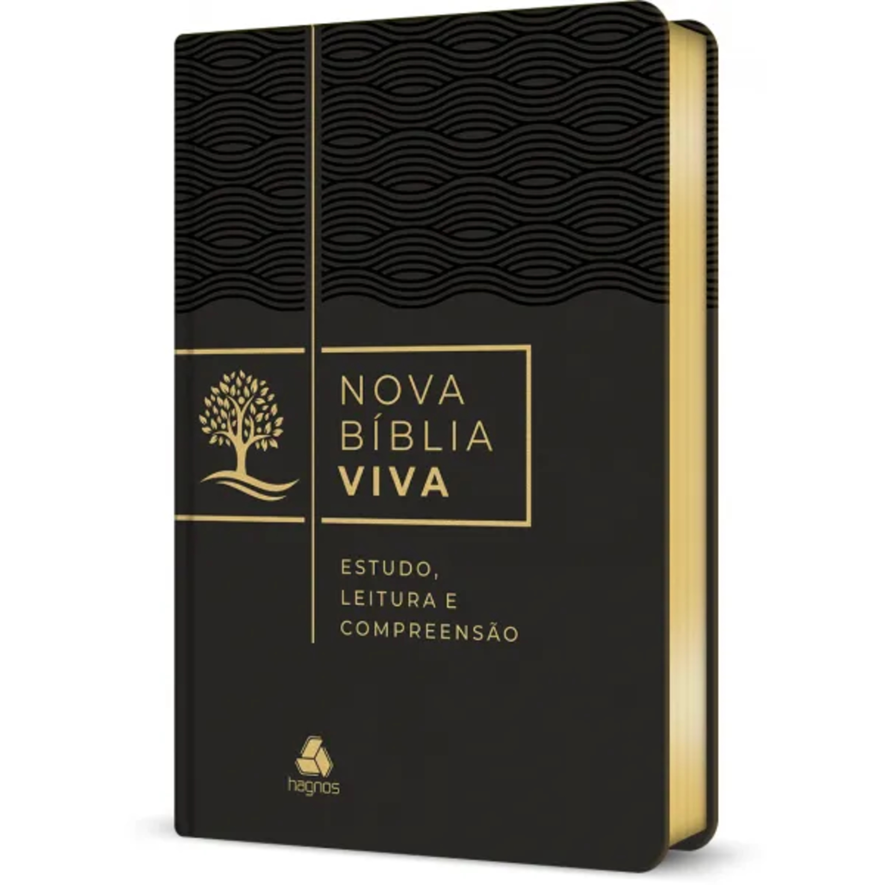 Nova Bíblia Viva em Áudio | Obadias episode artwork