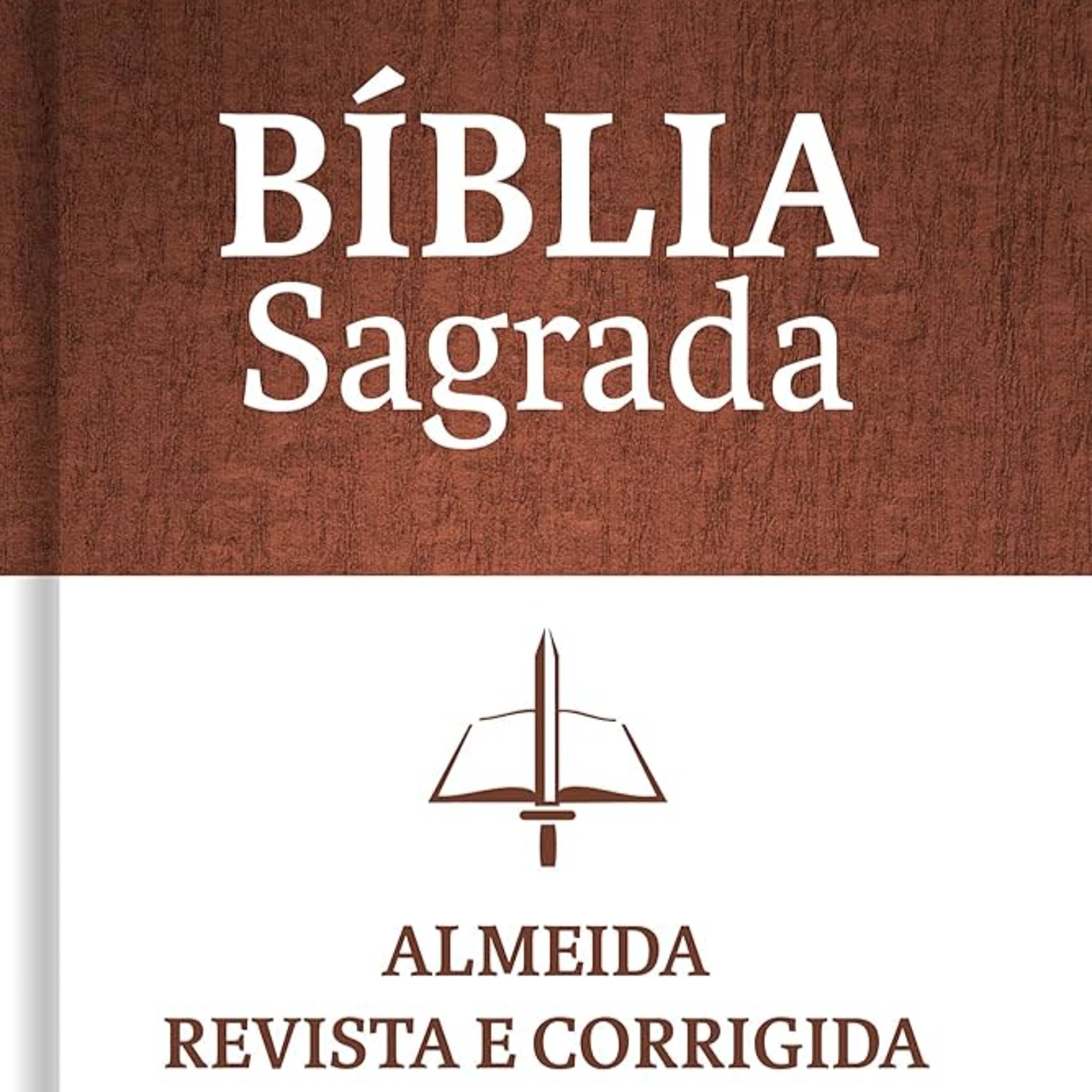 Bíblia em Áudio - Êxodo - Almeida Revista e Corrigida (ARC) episode artwork