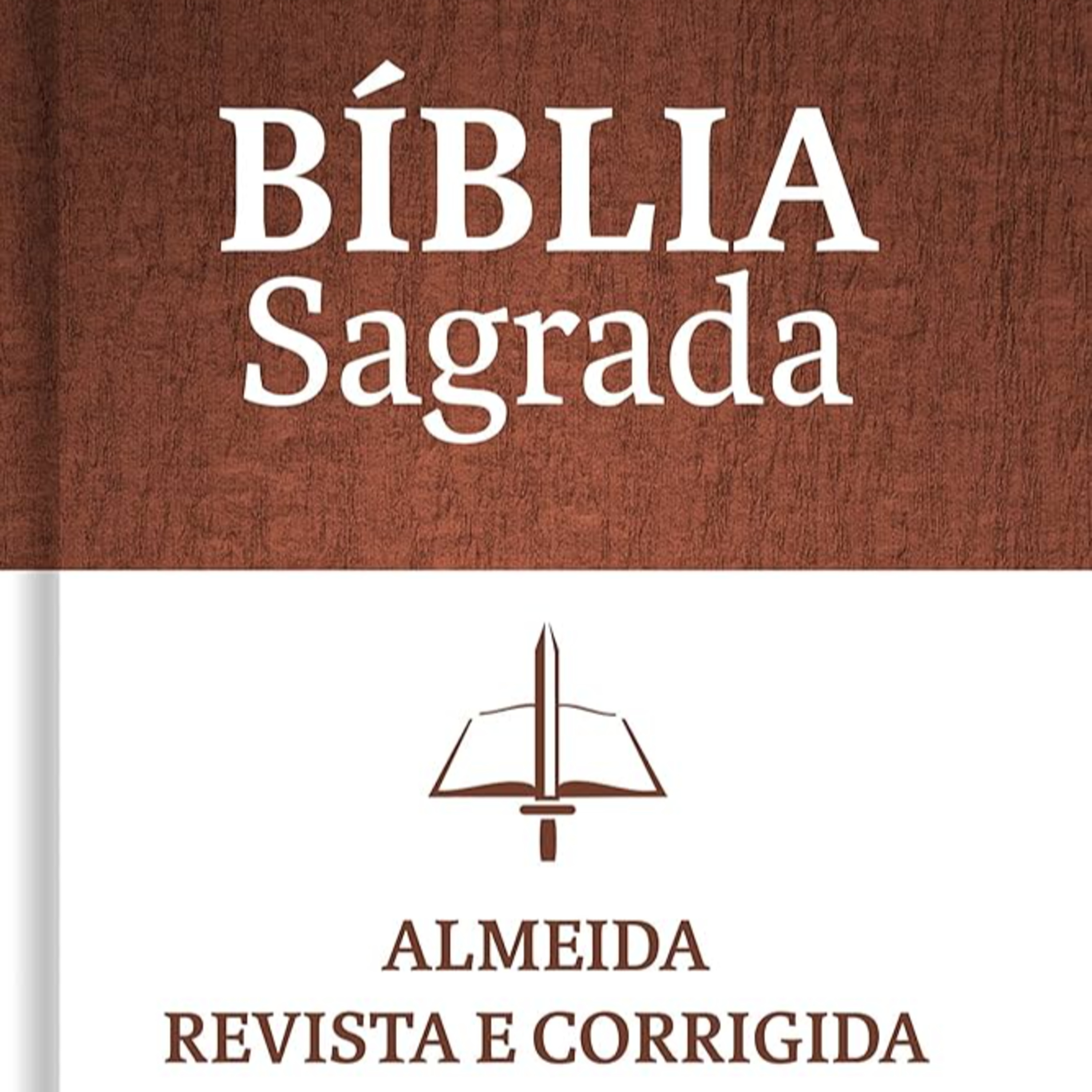 Bíblia em Áudio - Levítico- Almeida Revista e Corrigida (ARC) episode artwork