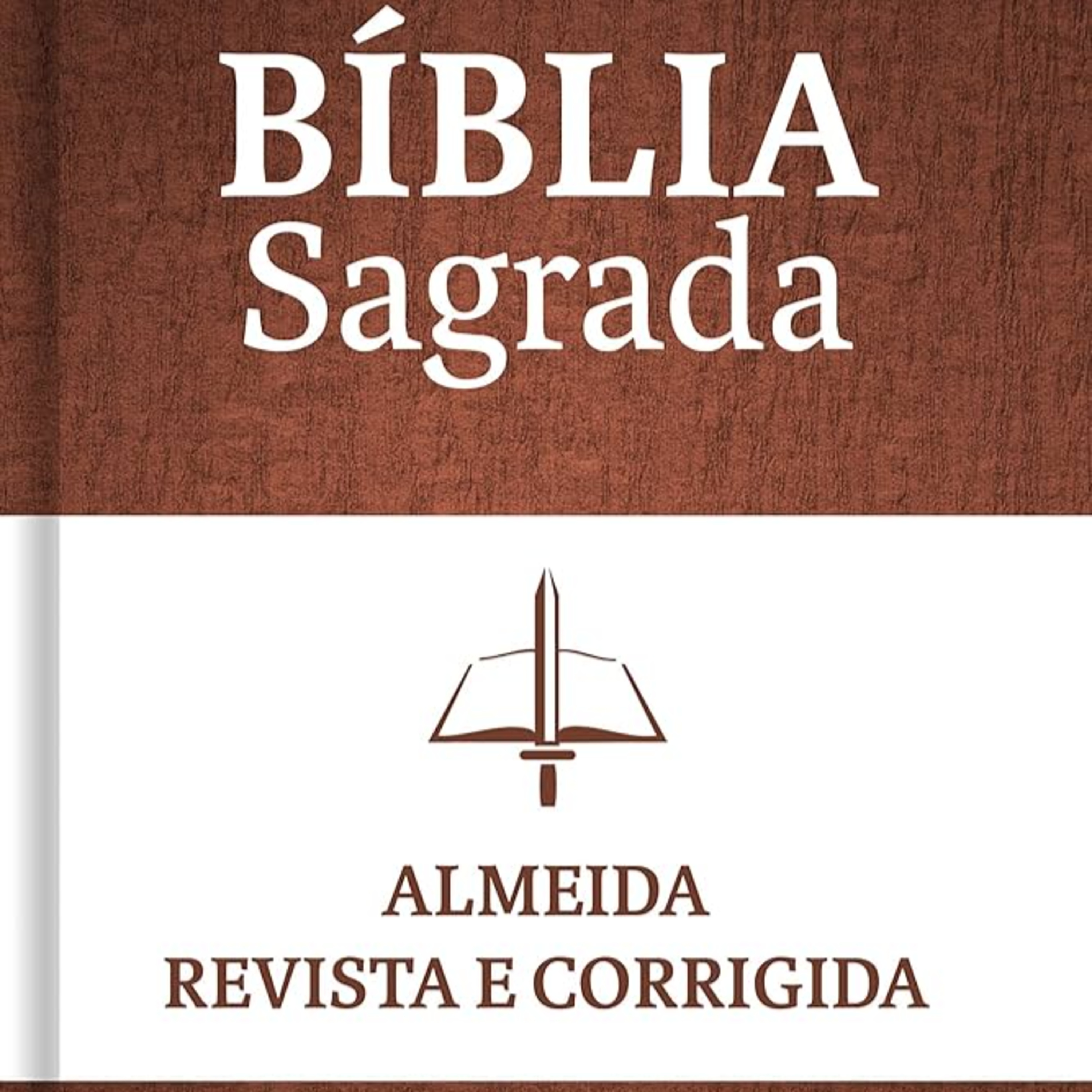 Bíblia em Áudio - Números- Almeida Revista e Corrigida (ARC) episode artwork