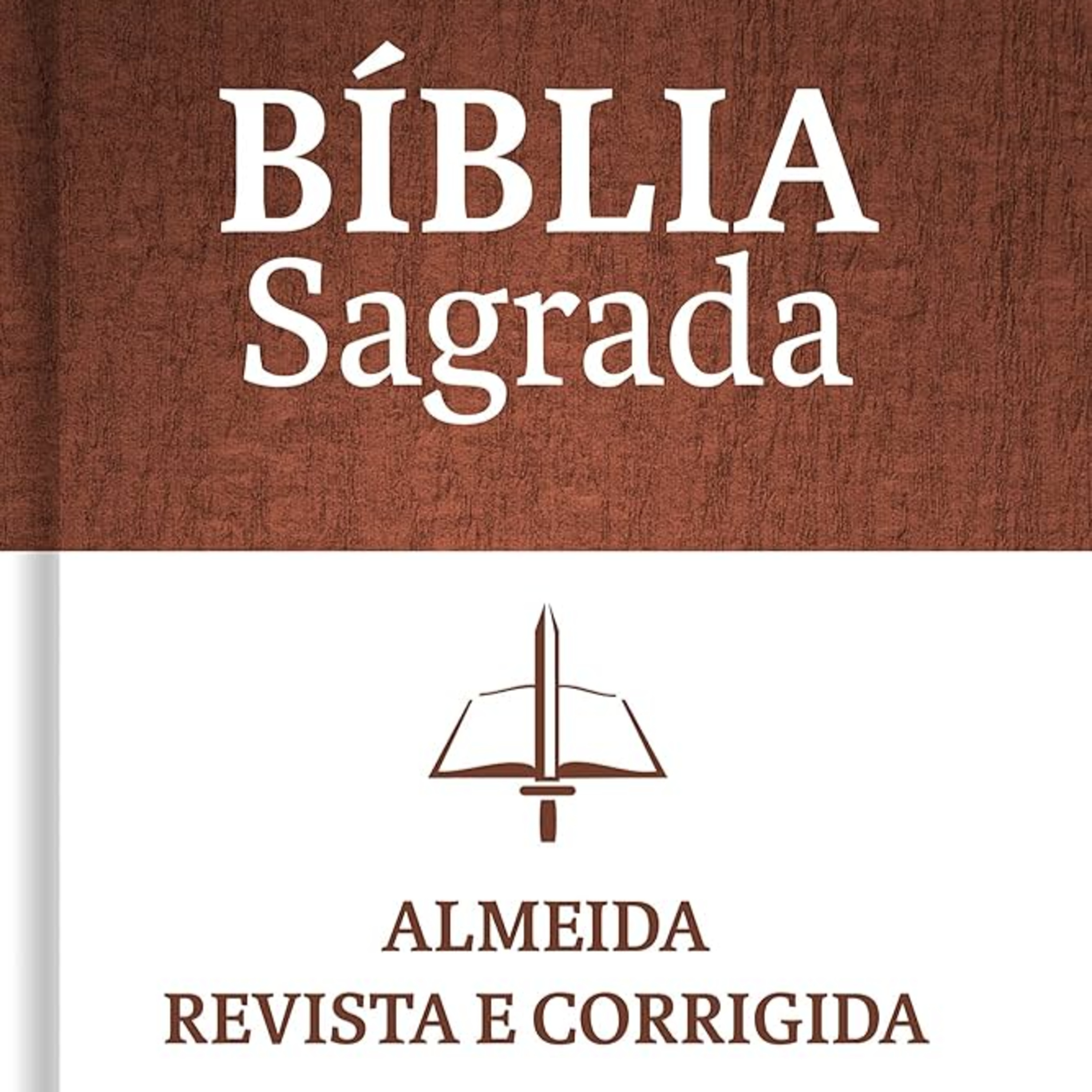Bíblia em Áudio - Deuteronômio - Almeida Revista e Corrigida (ARC) episode artwork