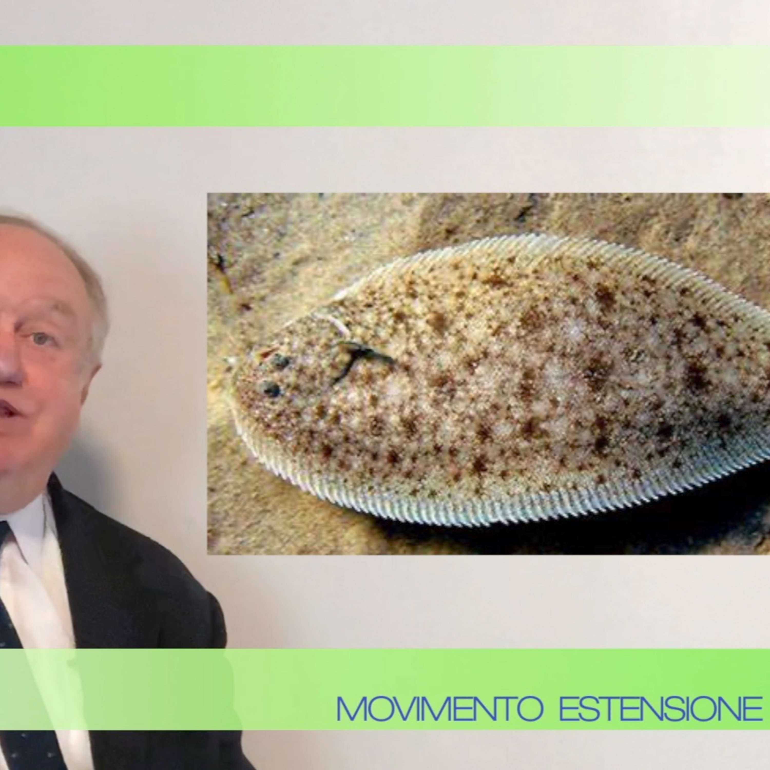 Movimento Estensione Vita
