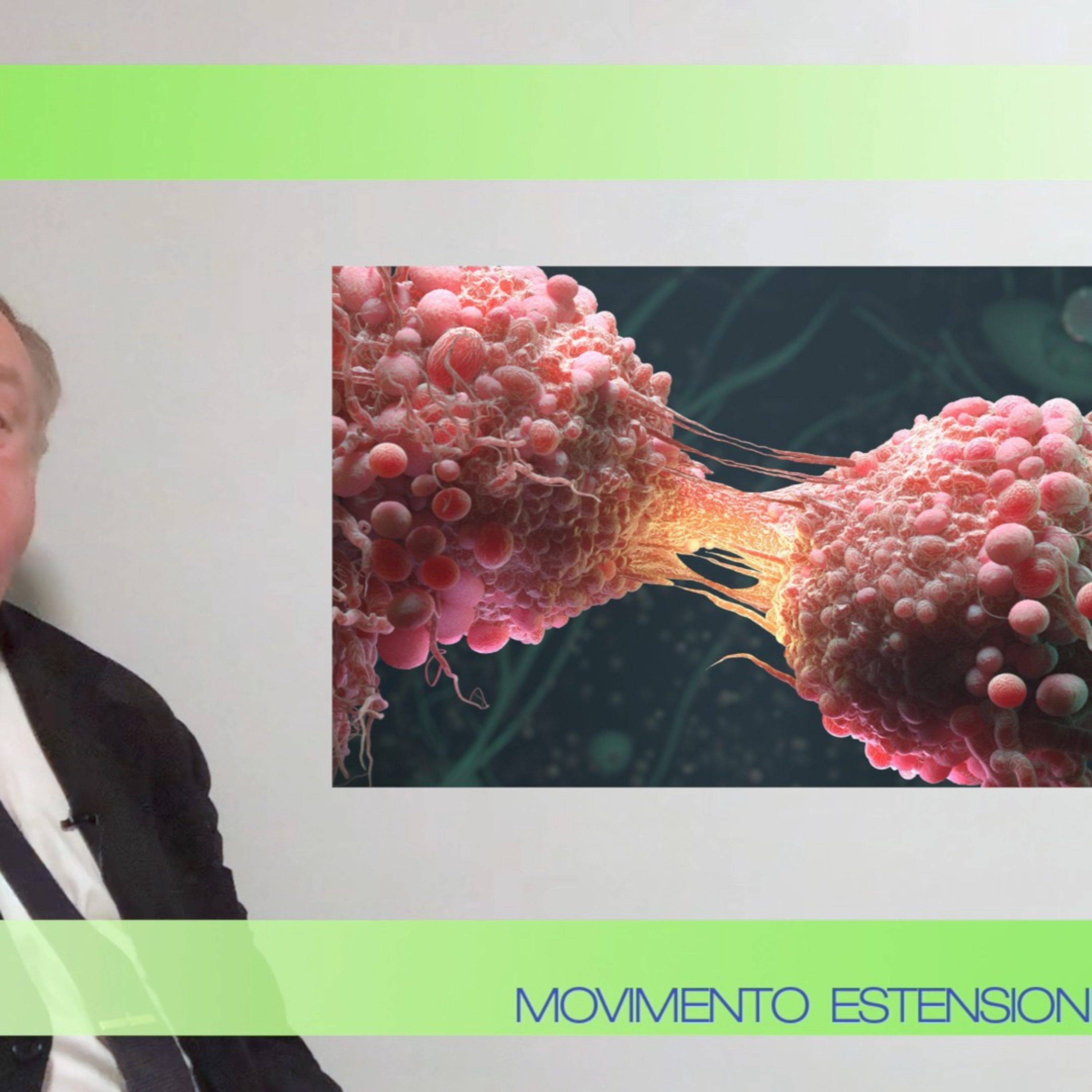 Movimento Estensione Vita