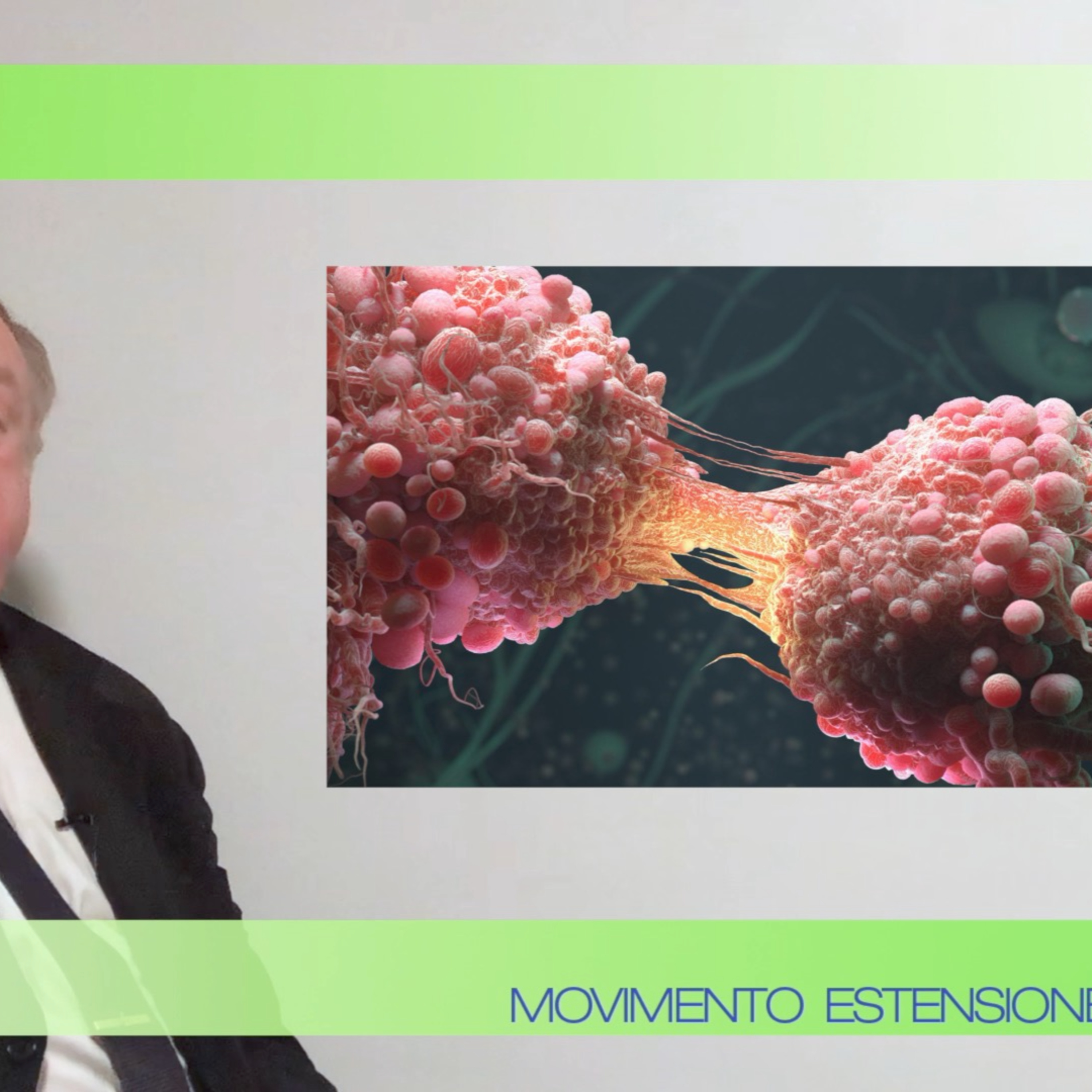 Movimento Estensione Vita