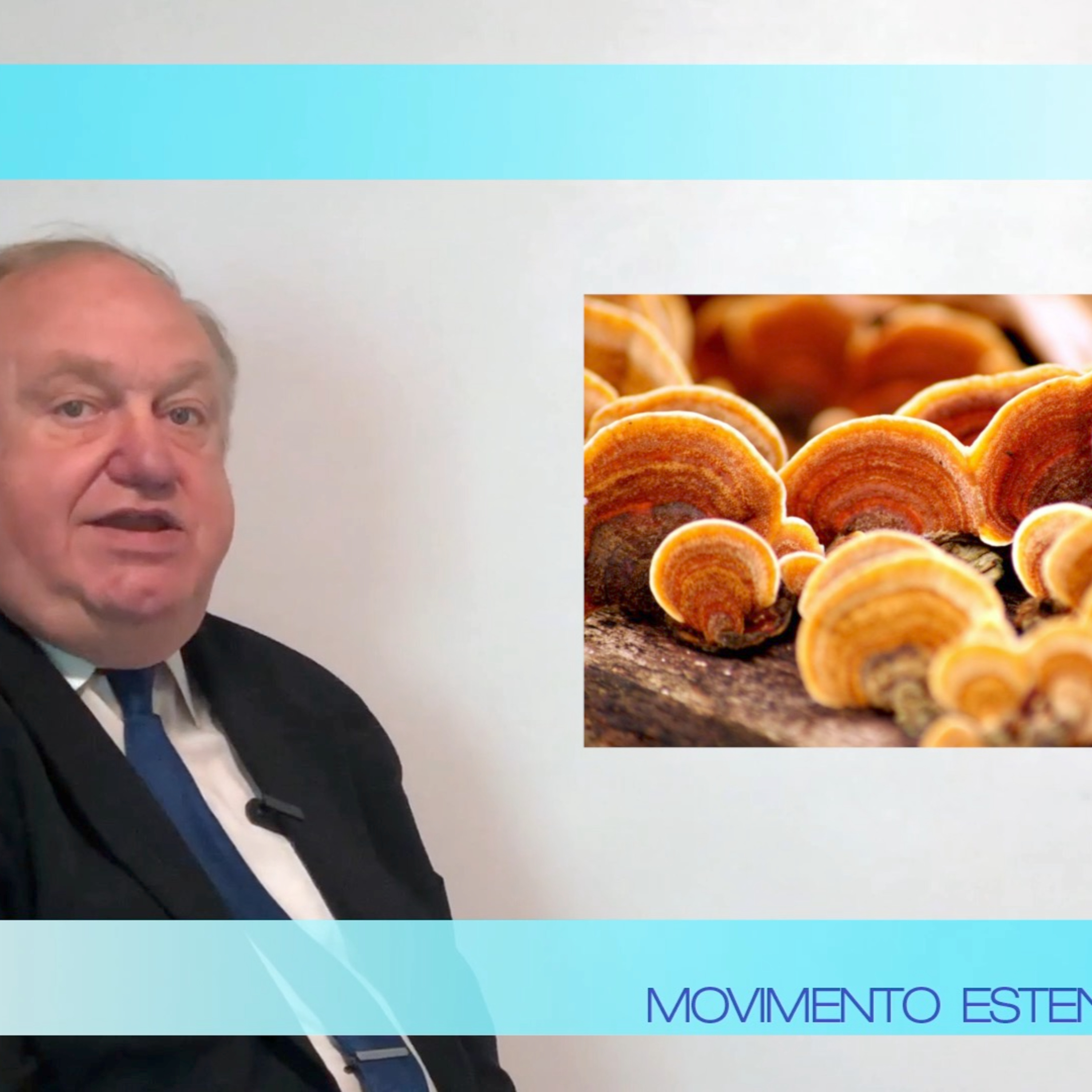Trattamenti - Parliamo di funghi: il Reishi episode artwork