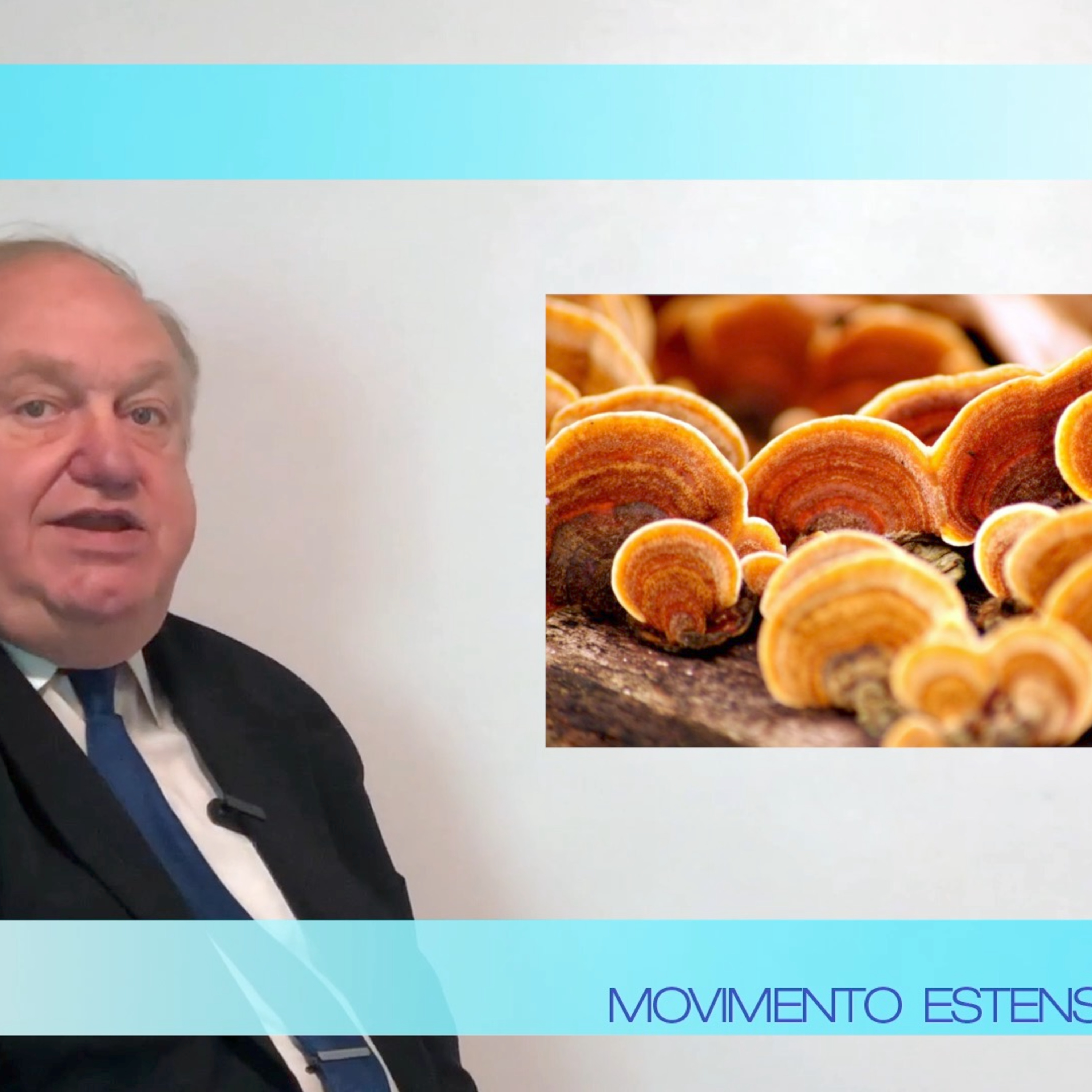VIDEO - Parliamo di funghi: il Reishi episode artwork