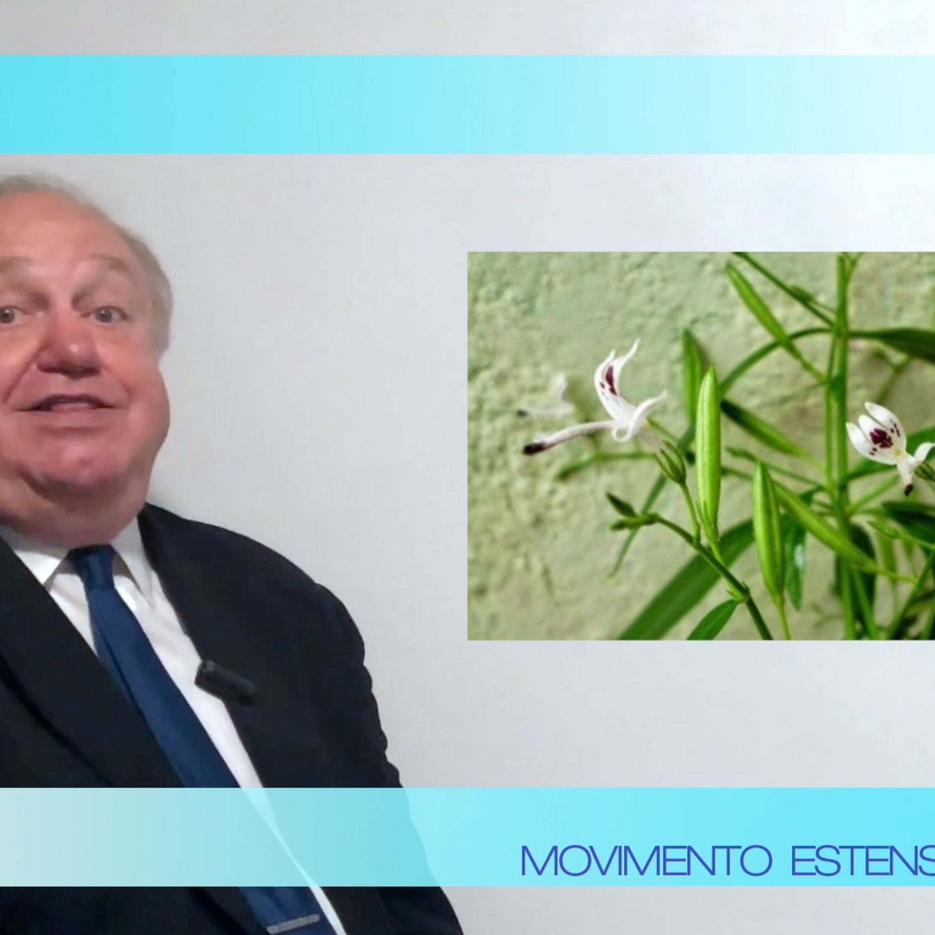 VIDEO - Andrographolide, da Andrographis Paniculata: una pianta dalle grandi proprietà episode artwork