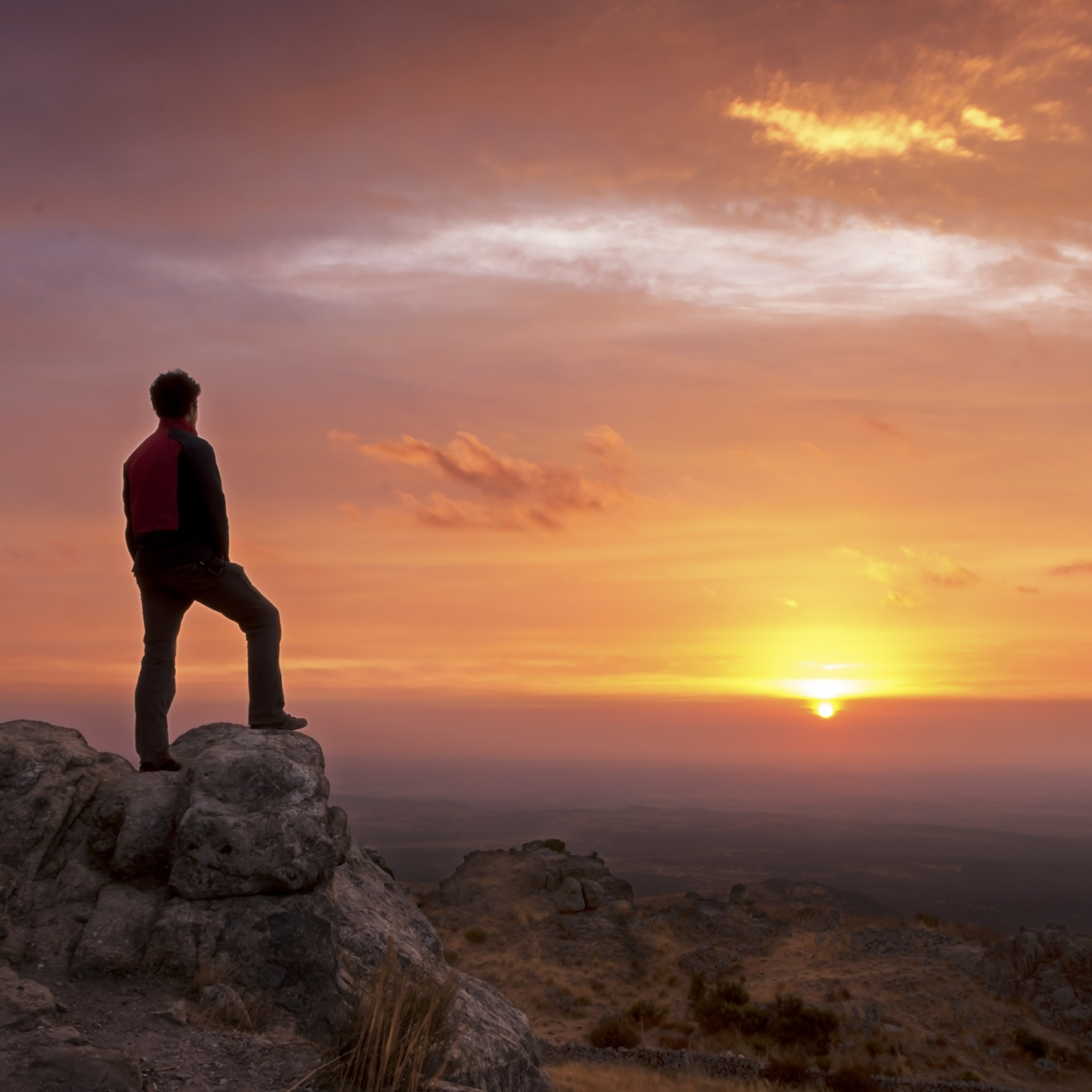 Movimento Estensione Vita