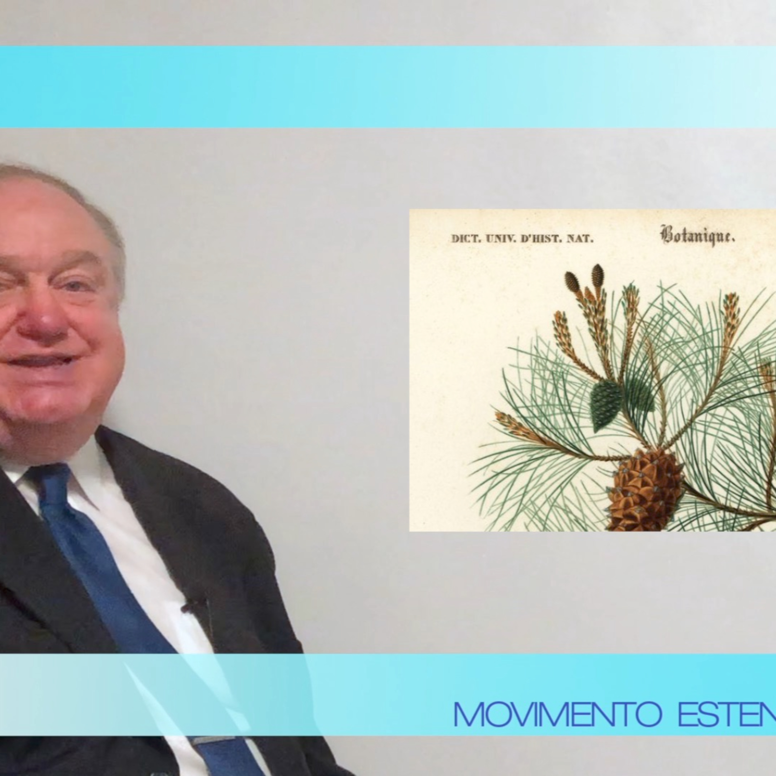 VIDEO - Pinus Pinaster: il pino marittimo e la produzione di Picnogenolo, un tesoro naturale per la salute episode artwork