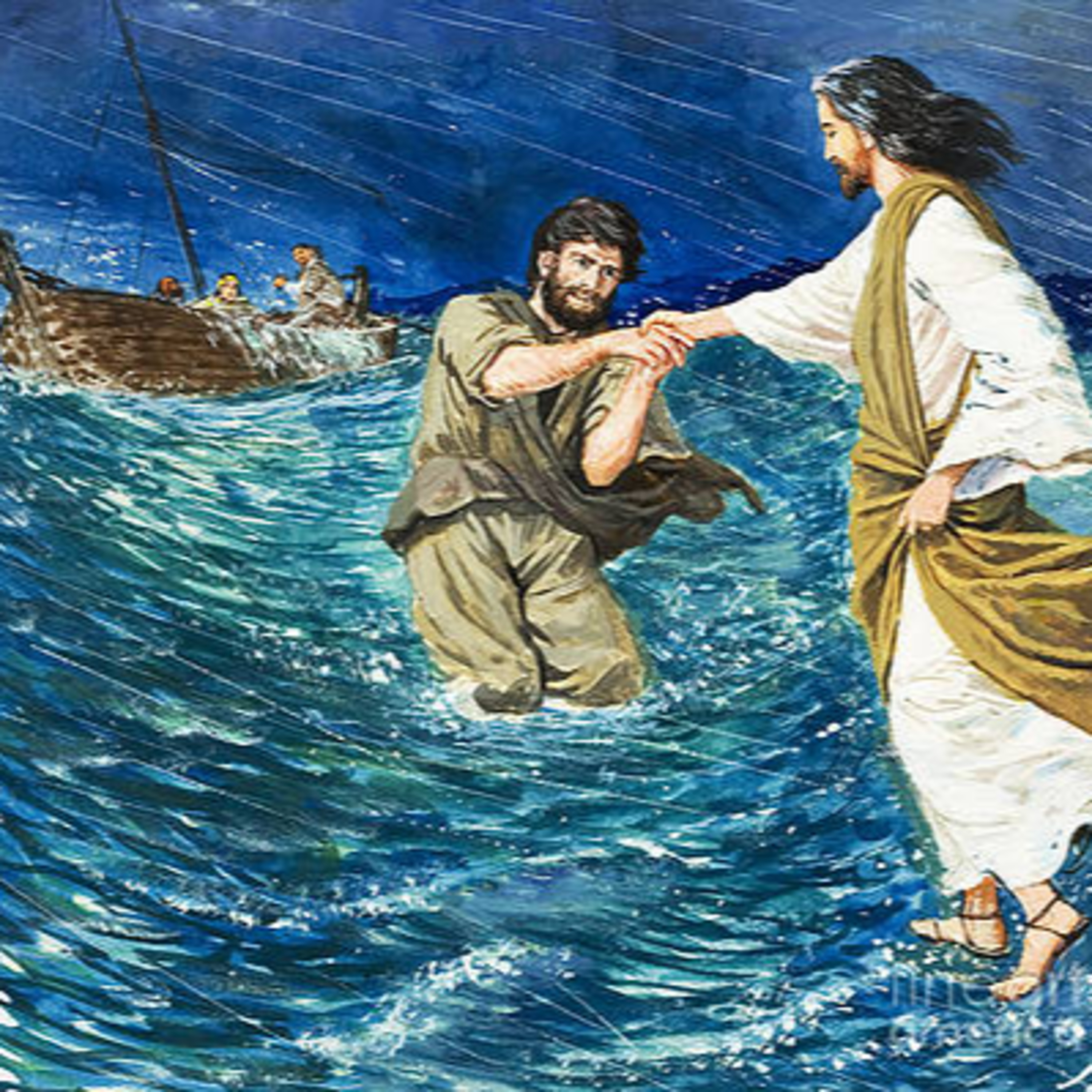 Dr. Jay Narayan Vyas