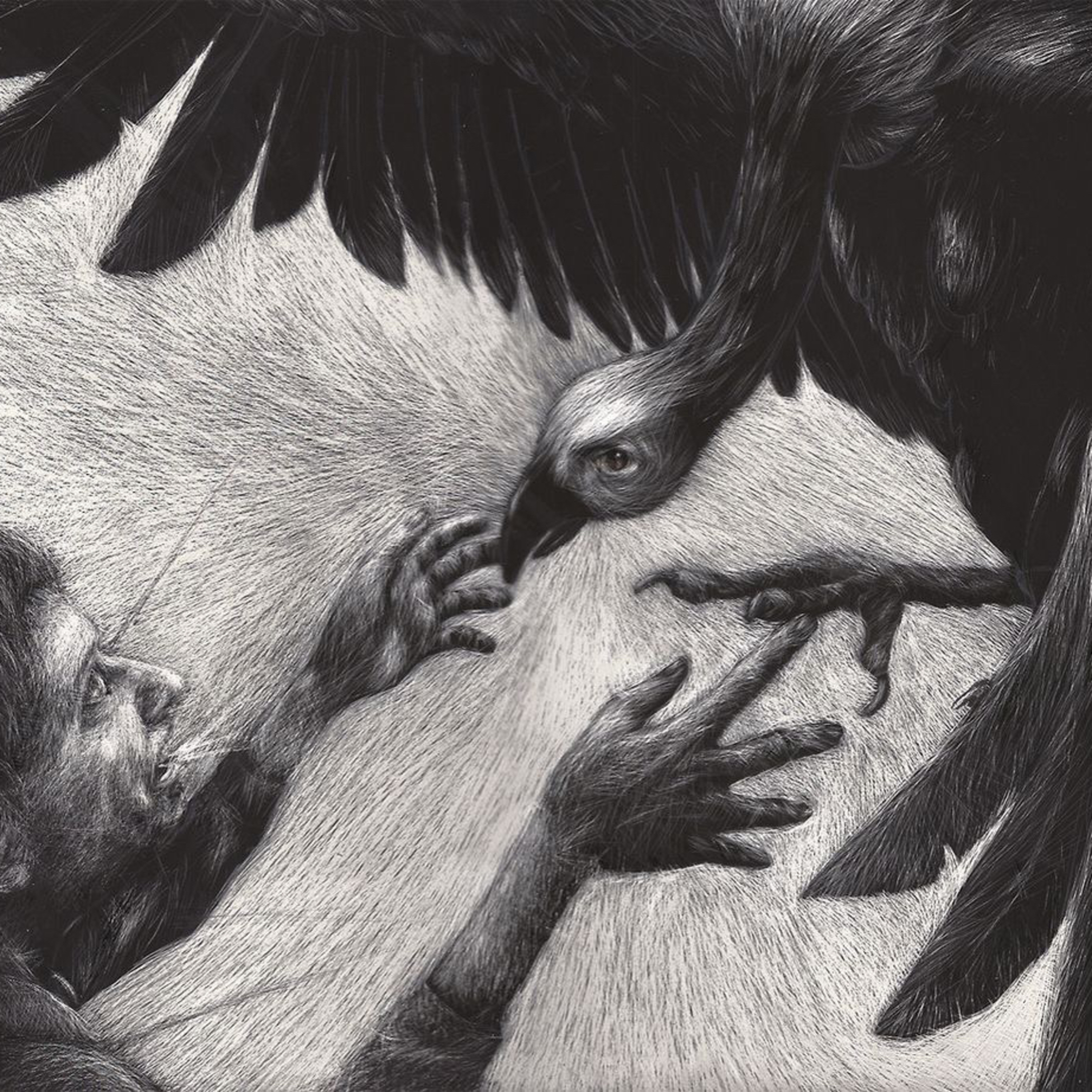 El buitre de Kafka episode artwork
