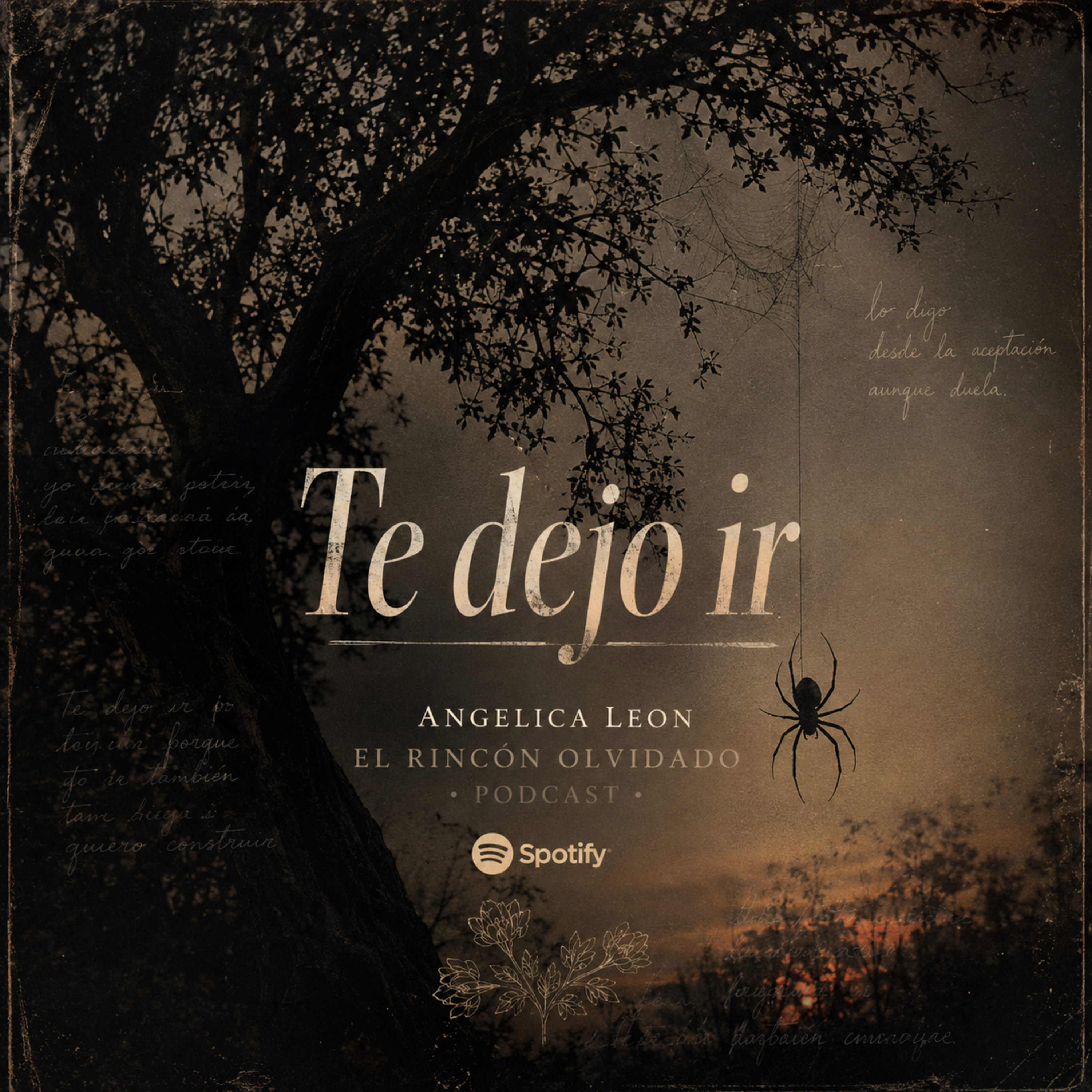 Te dejo Ir  episode artwork