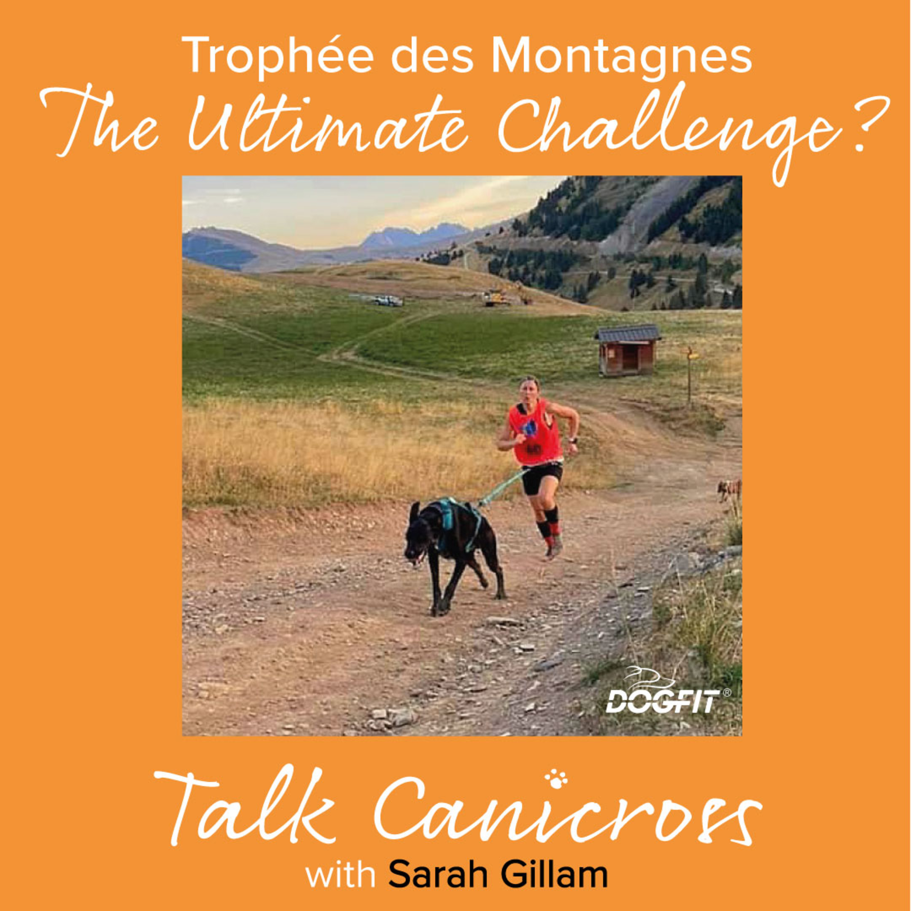 Talk Canicross