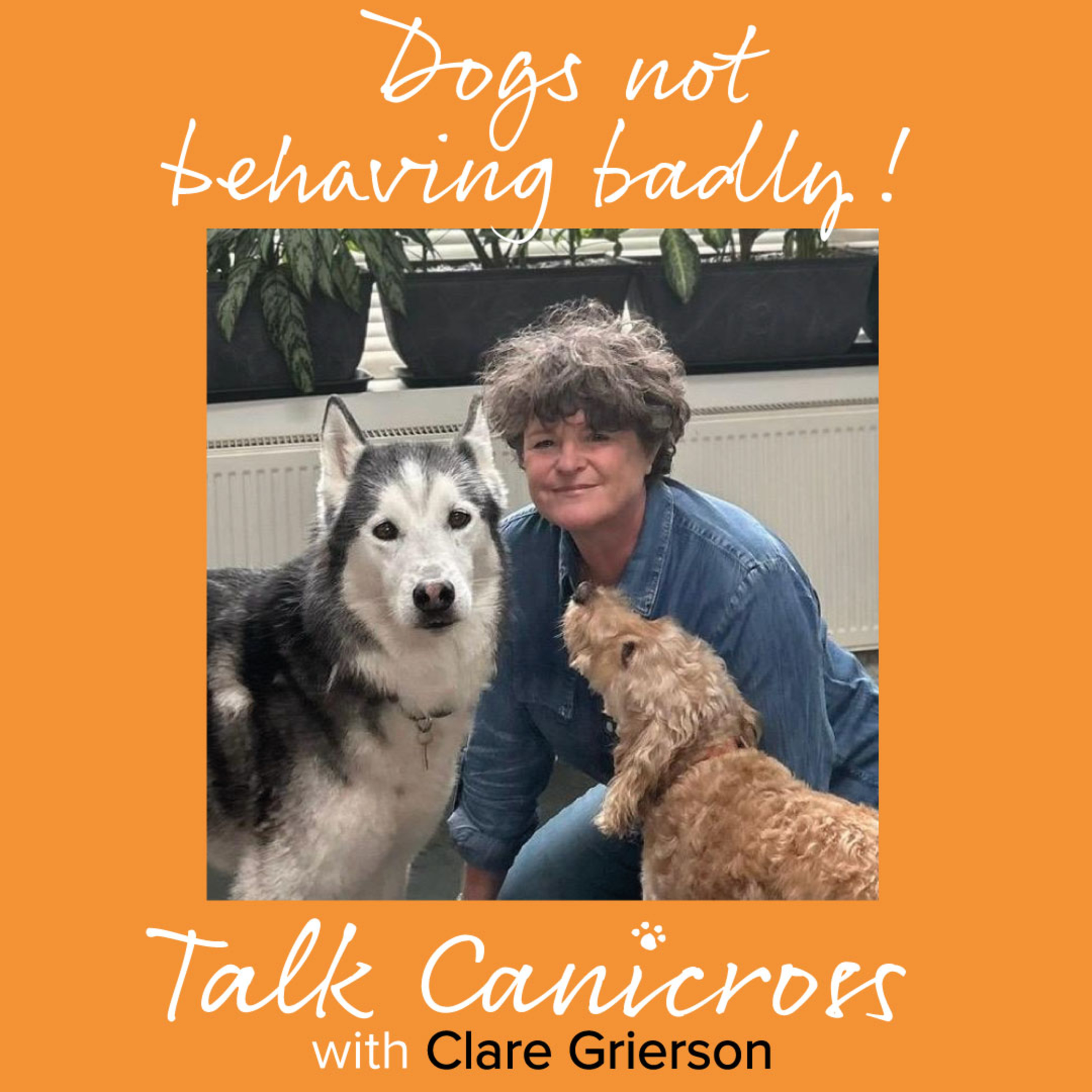 Talk Canicross
